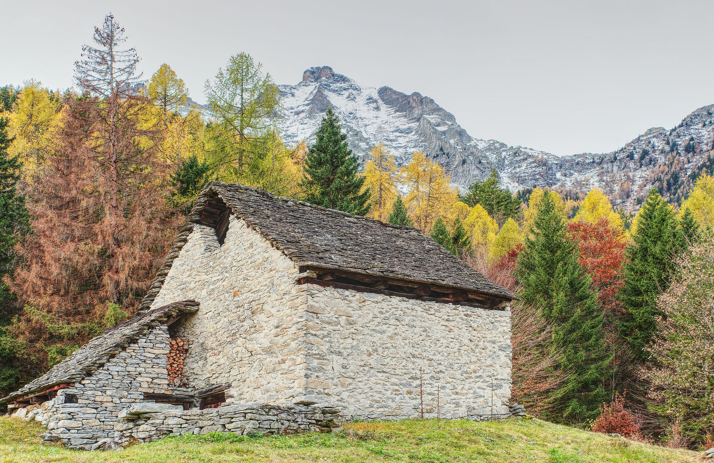 Val d'Ossola-the mountain pastures above Crodo