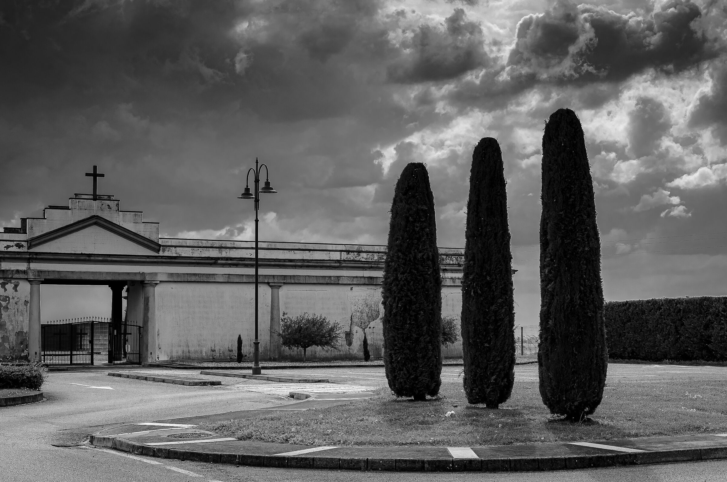Untitled Photo