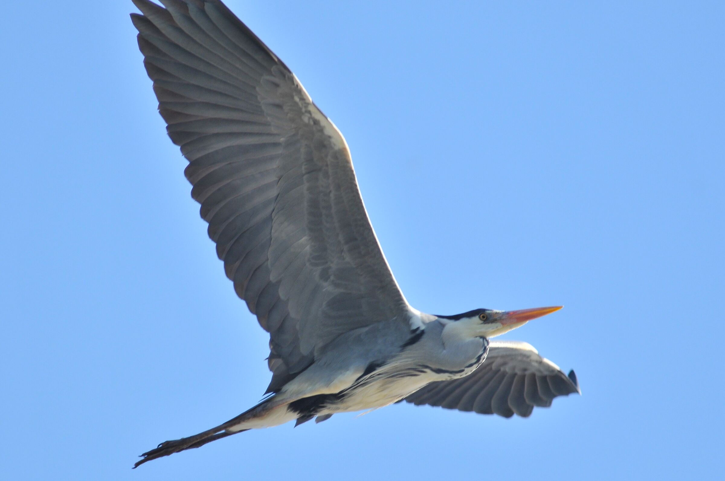 In the blue sky
