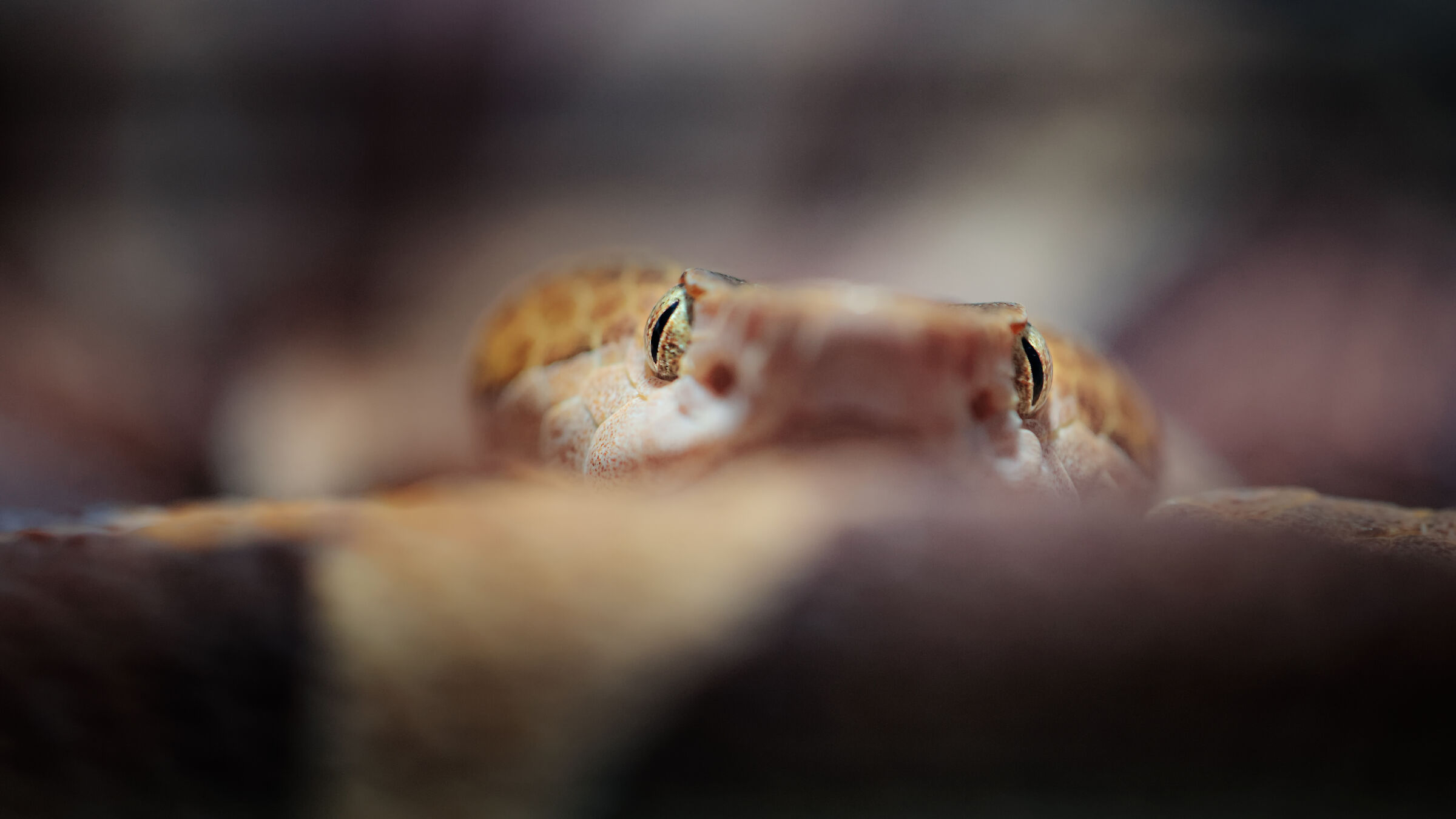 I see You...