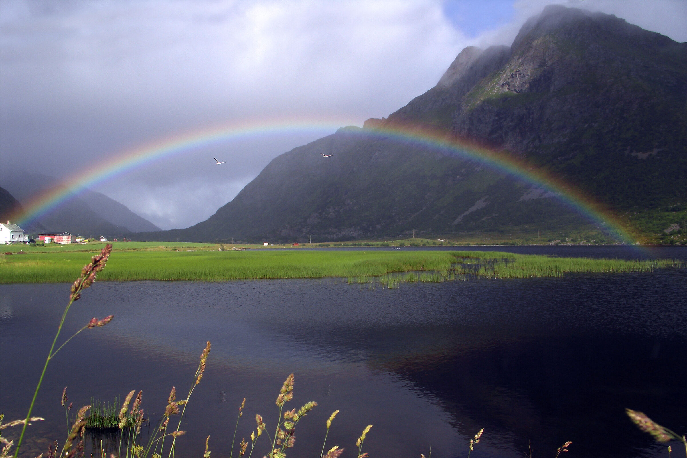 Arcobaleno