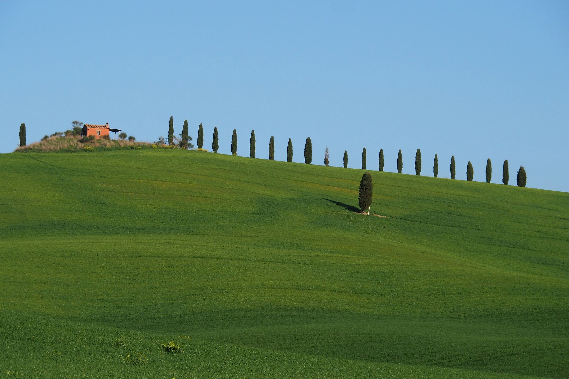 val d'Orcia primavera