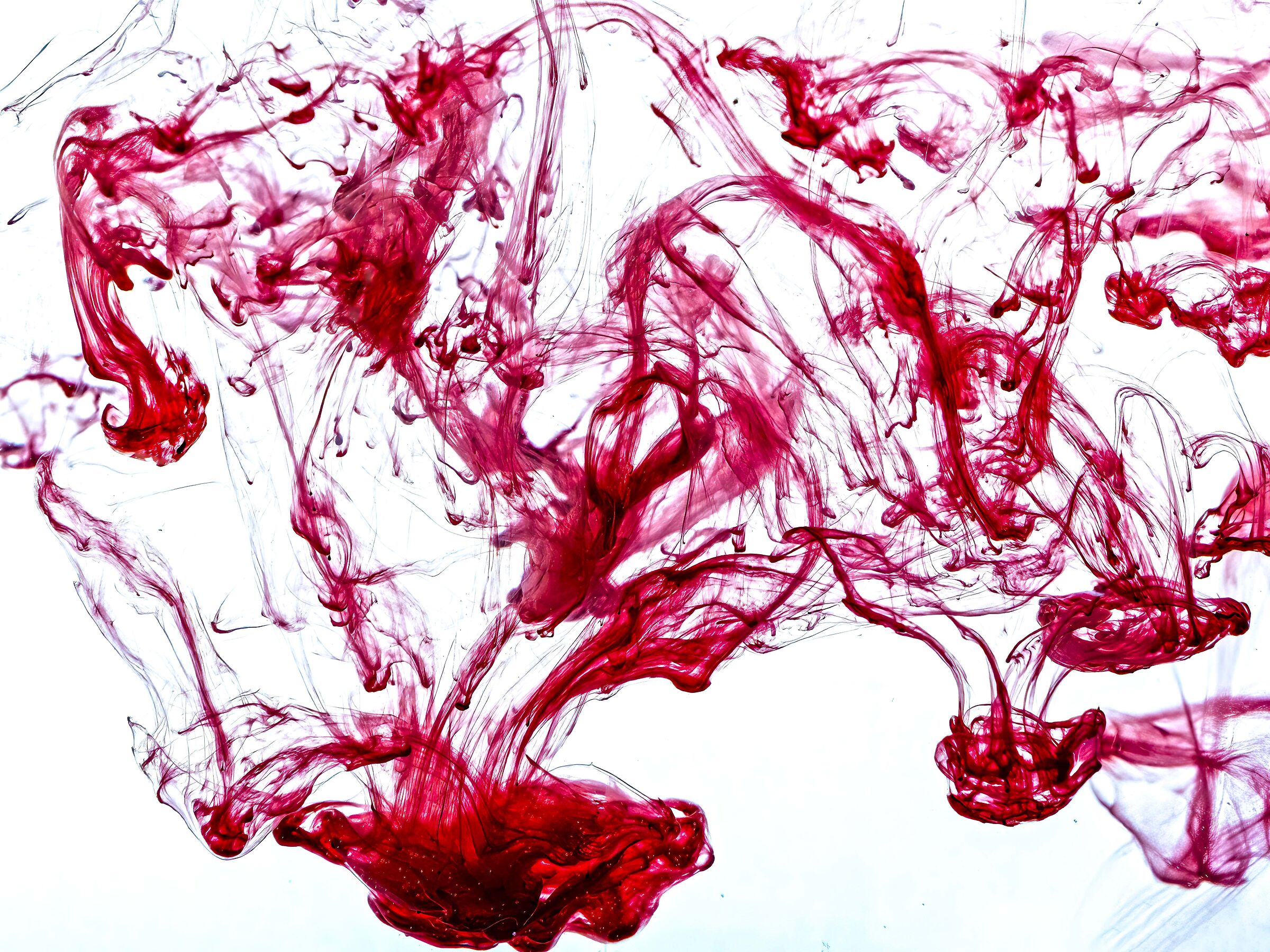 ABSTRACTION 2026