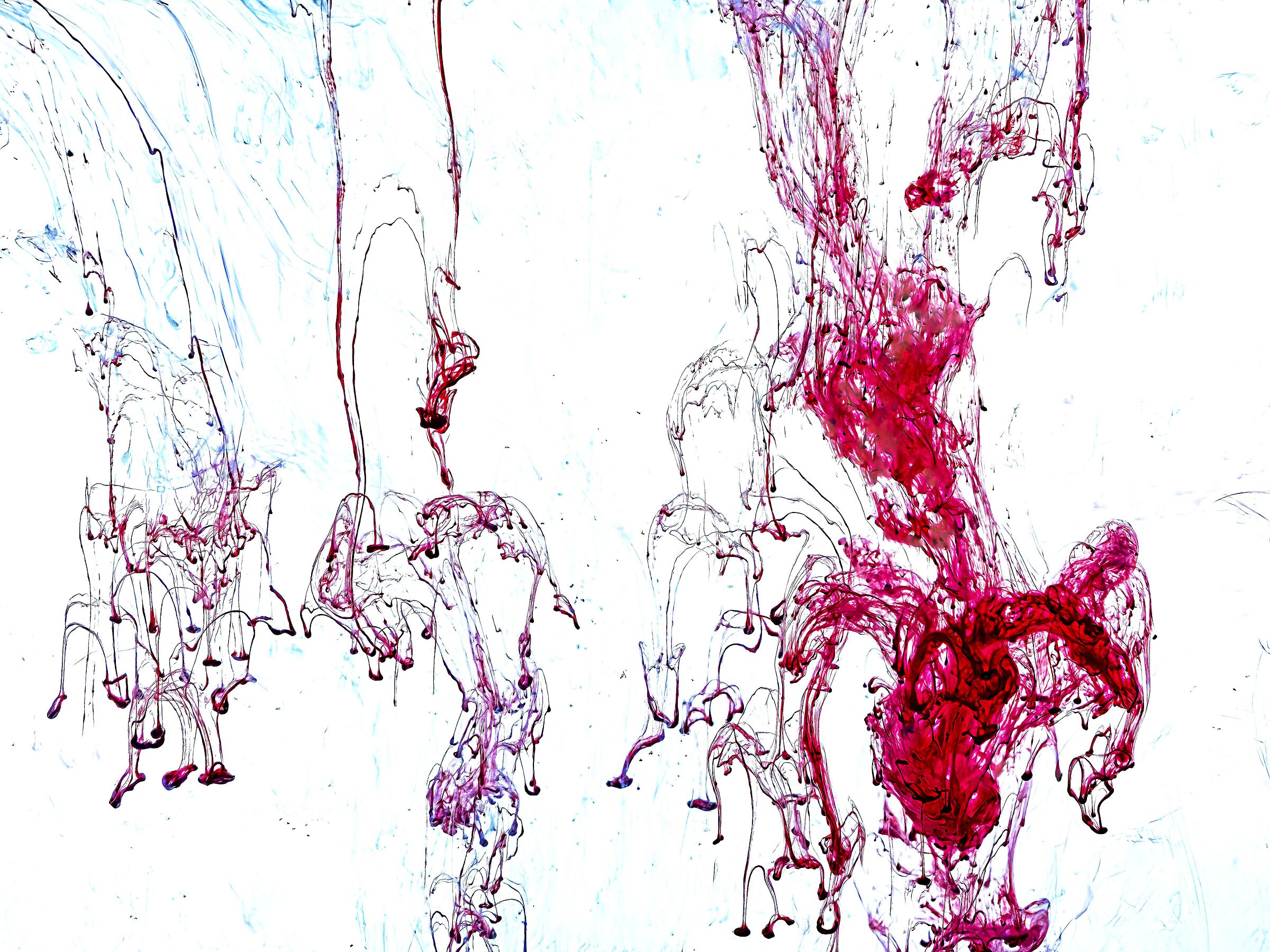astrazione  2026 2