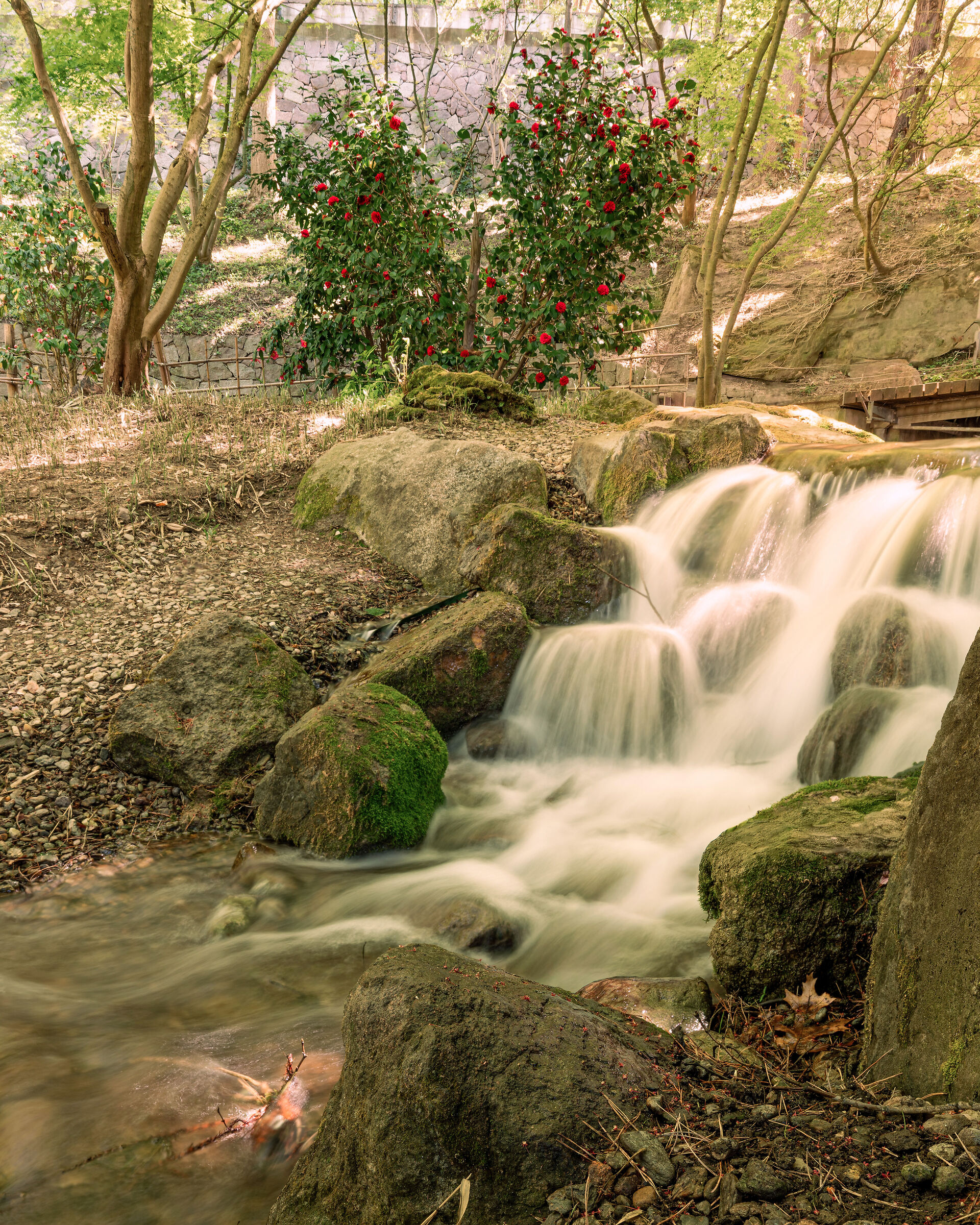 The stream