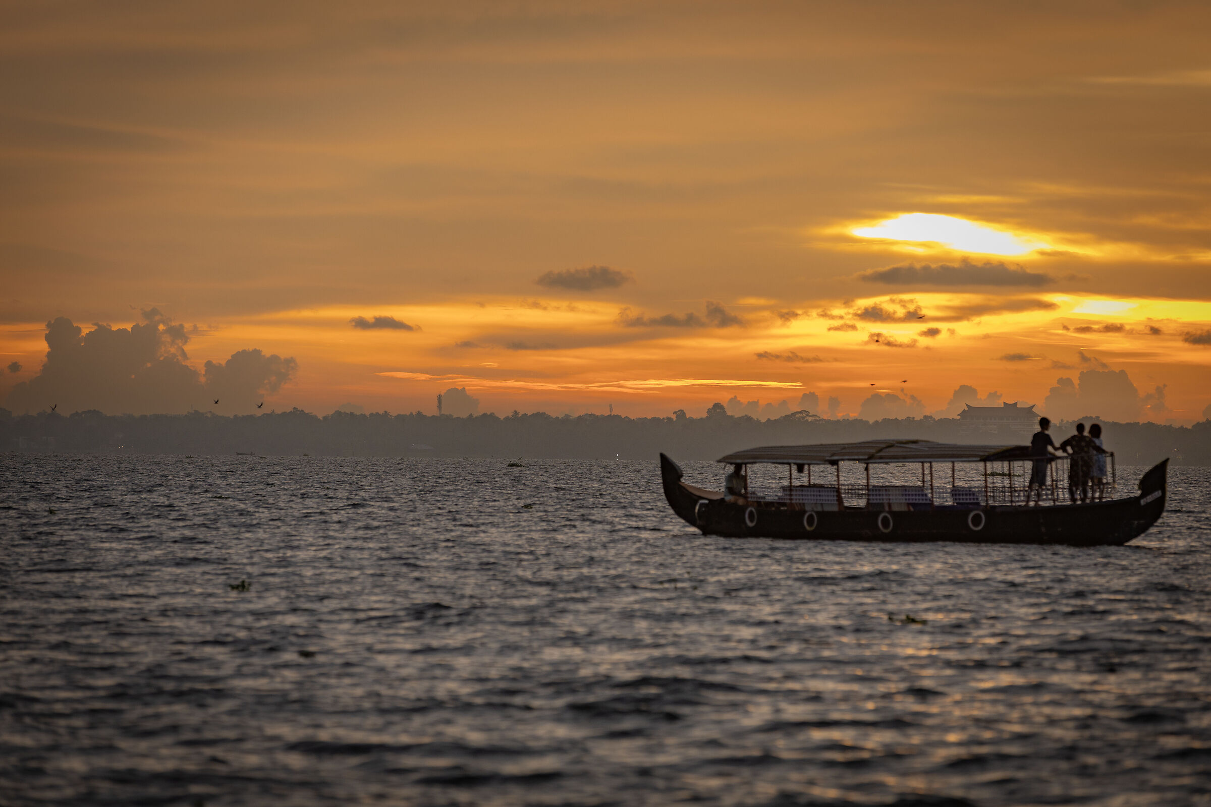Sunset silhouttes