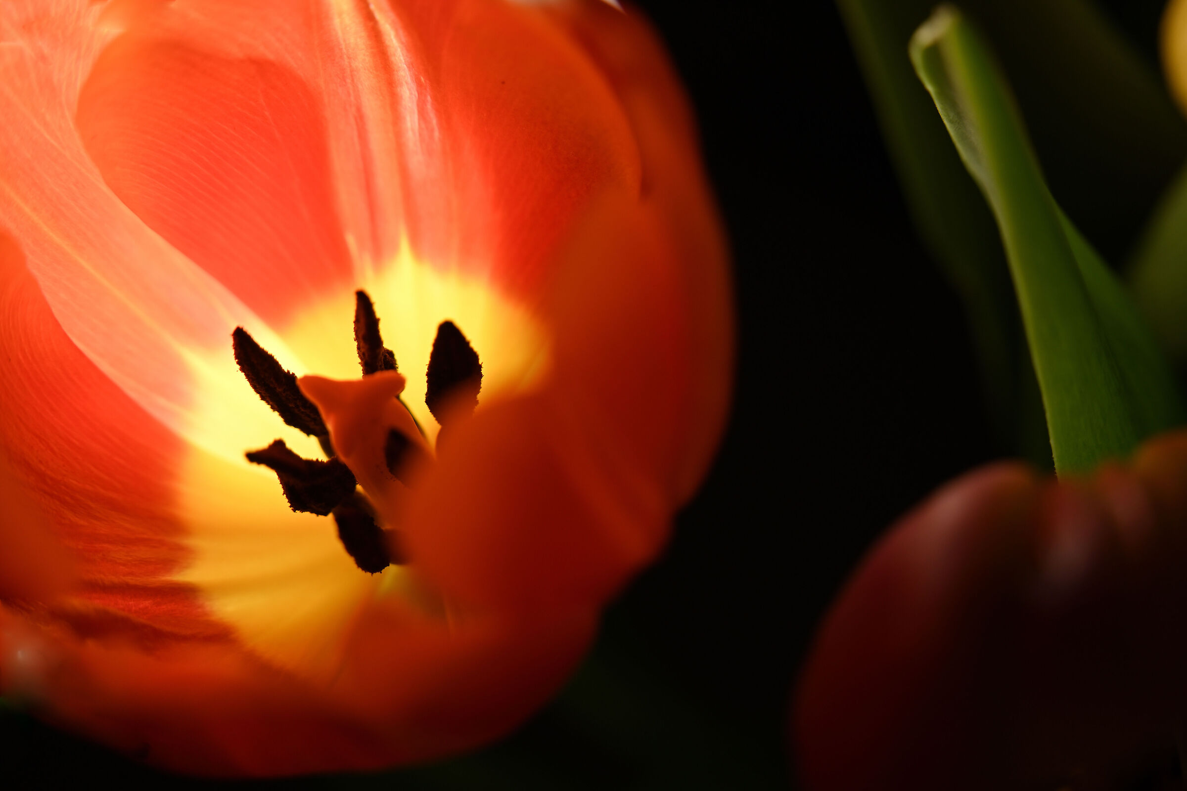 The Warmth of Color