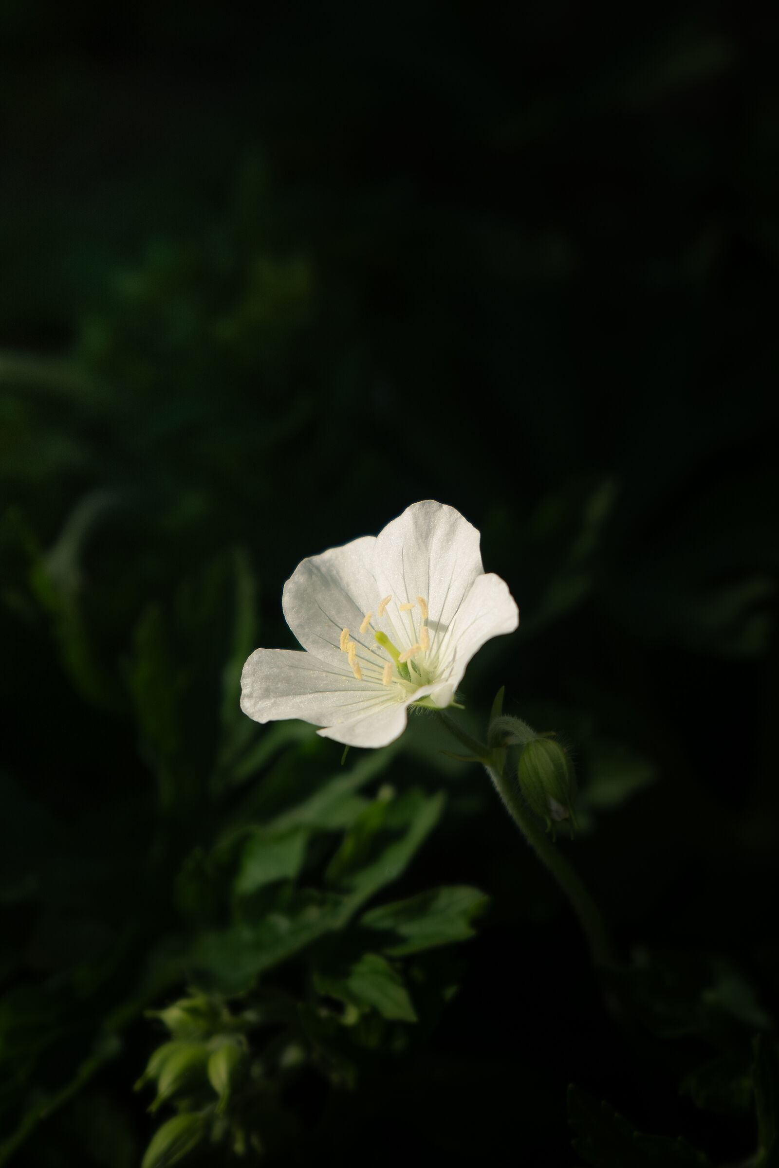 Untitled Photo