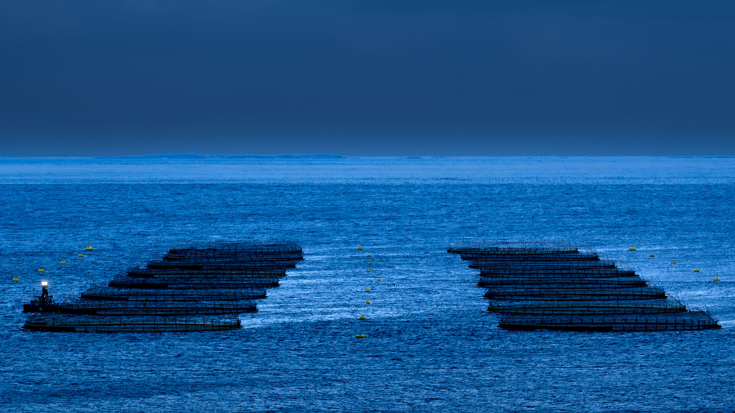 Fish Farm in South-East Fjords
