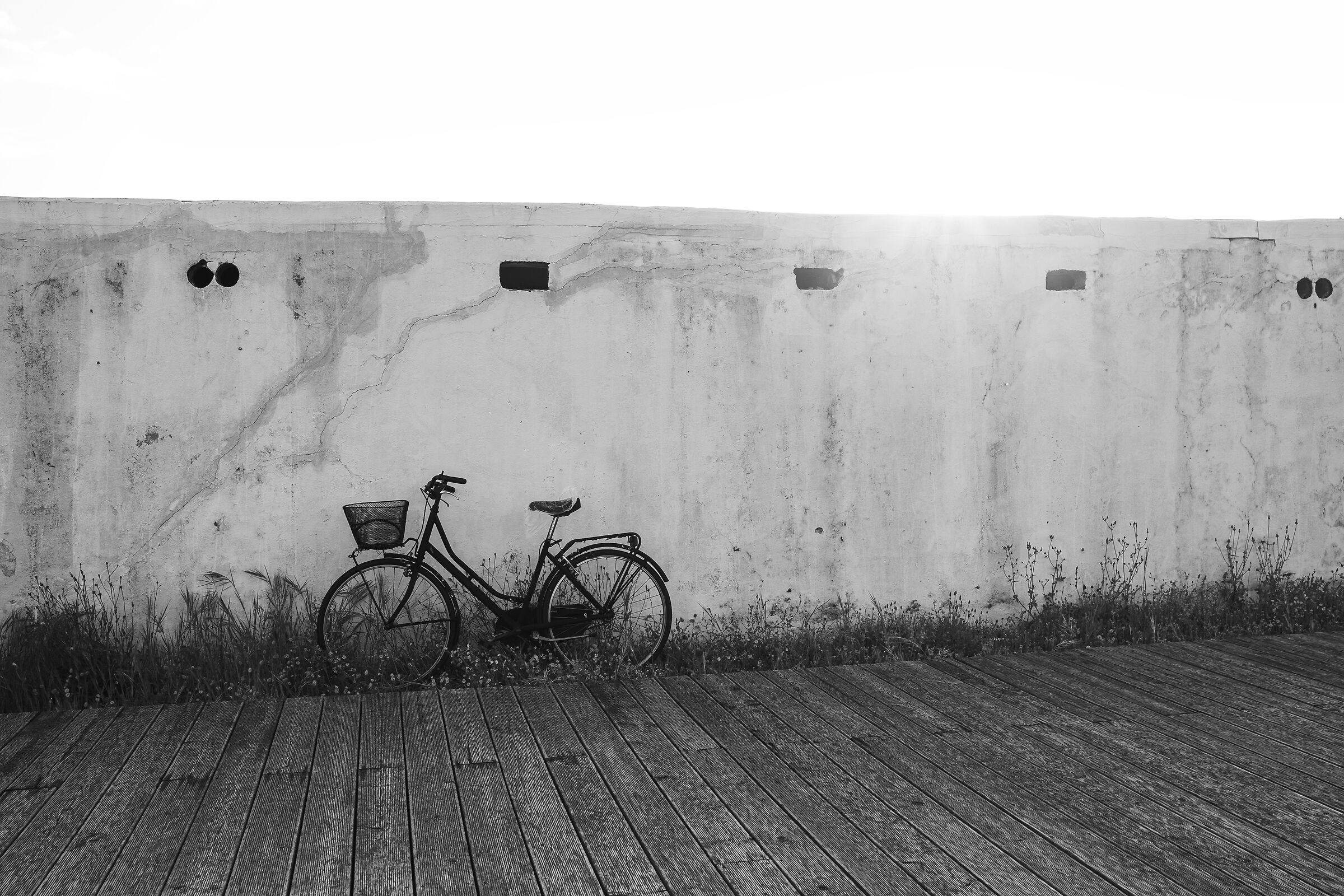 Pedals stopped, horizon open.