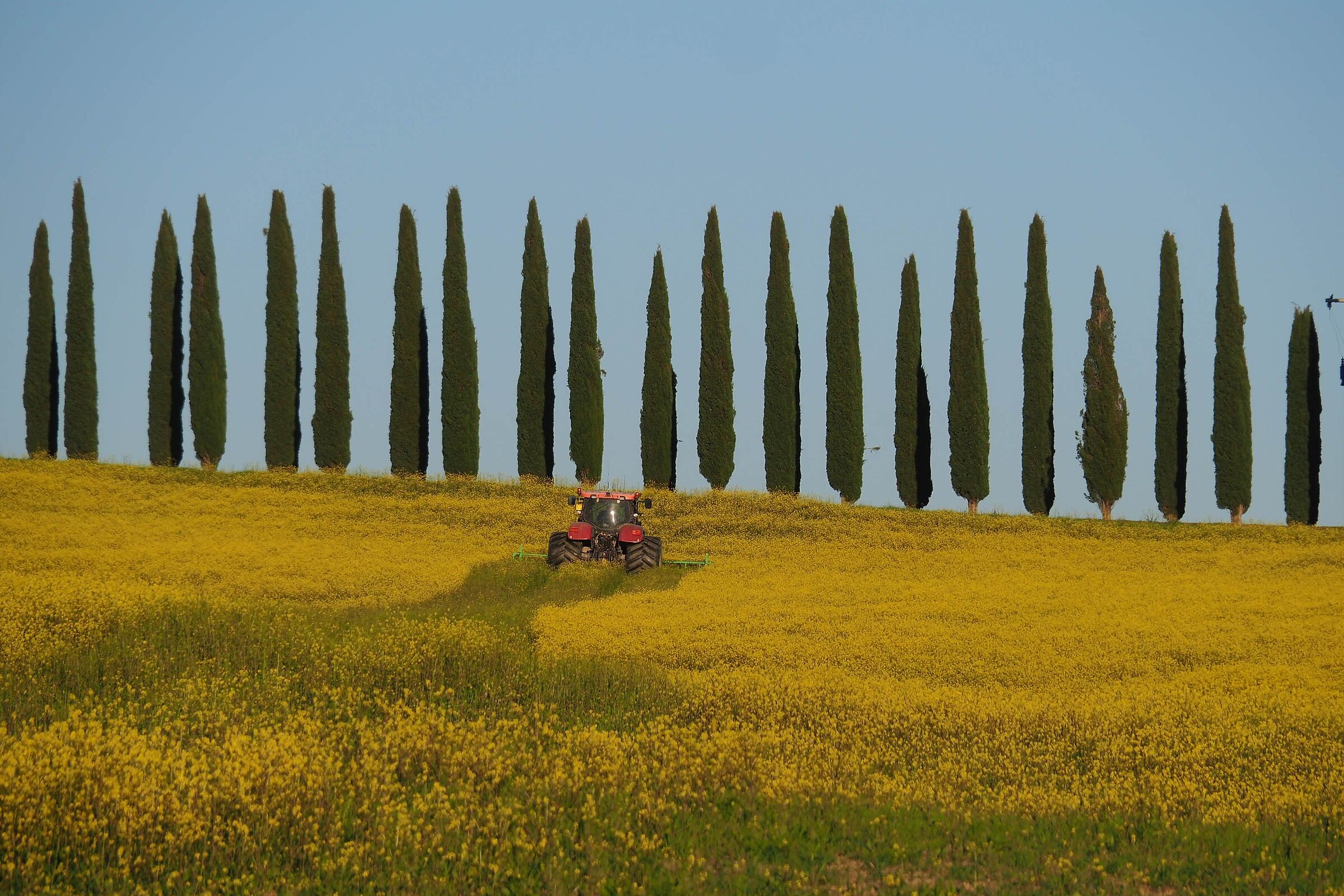 primavera in Val d'Orcia