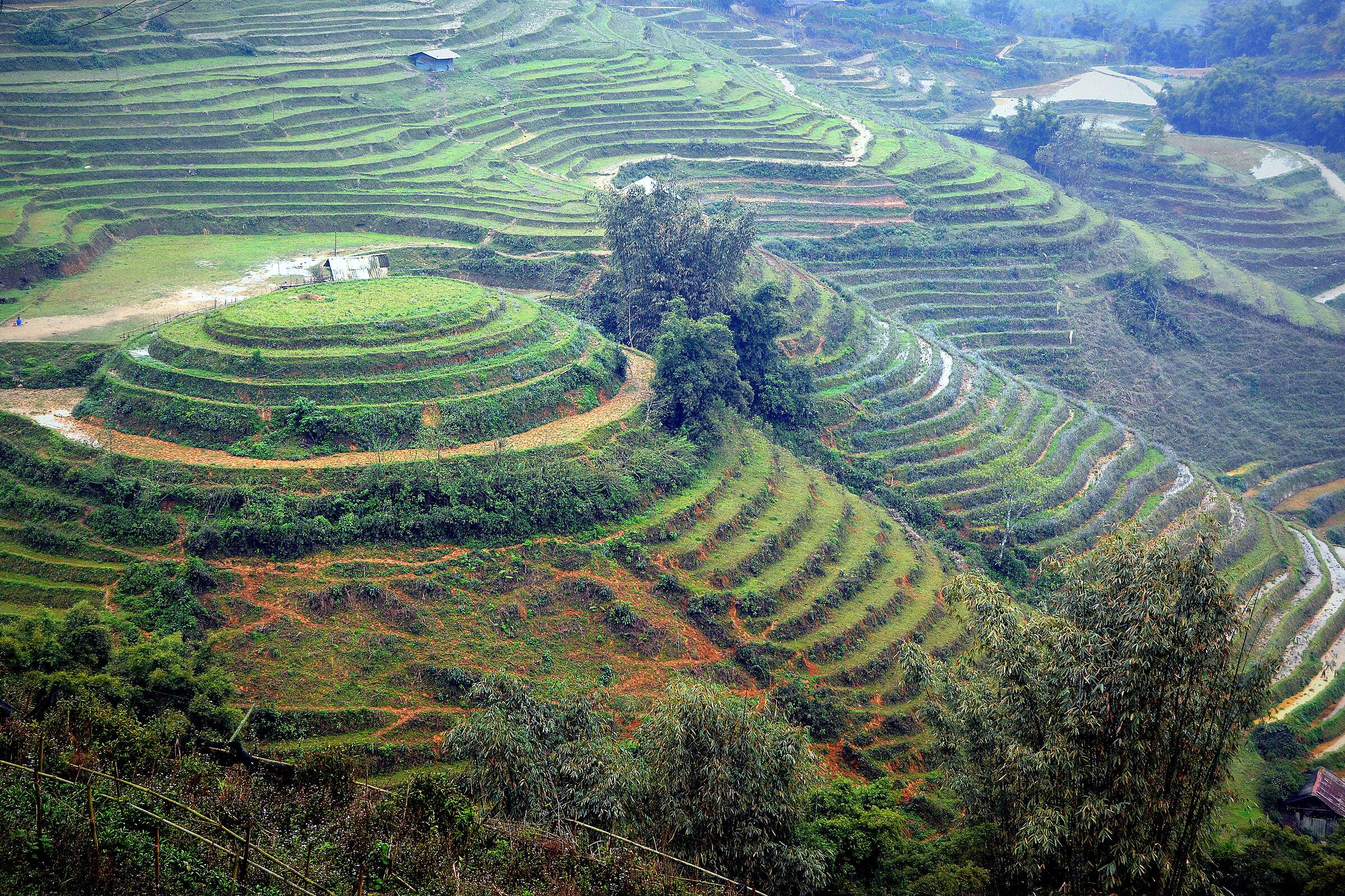 Lao Chải - Vietnam - Terraced rice fields