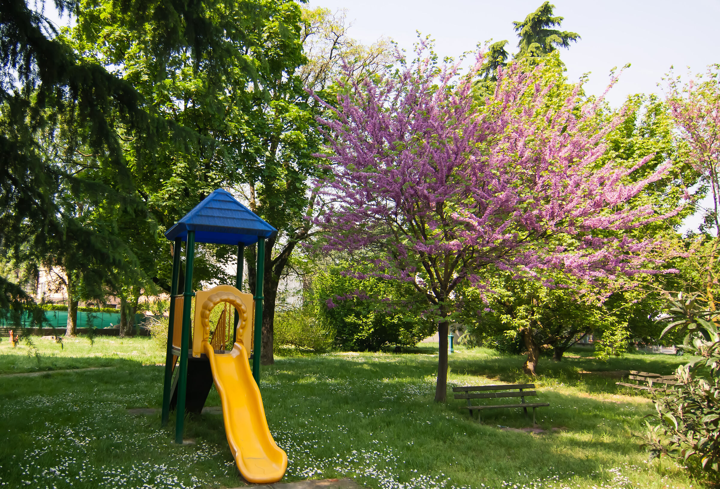 E' primavera