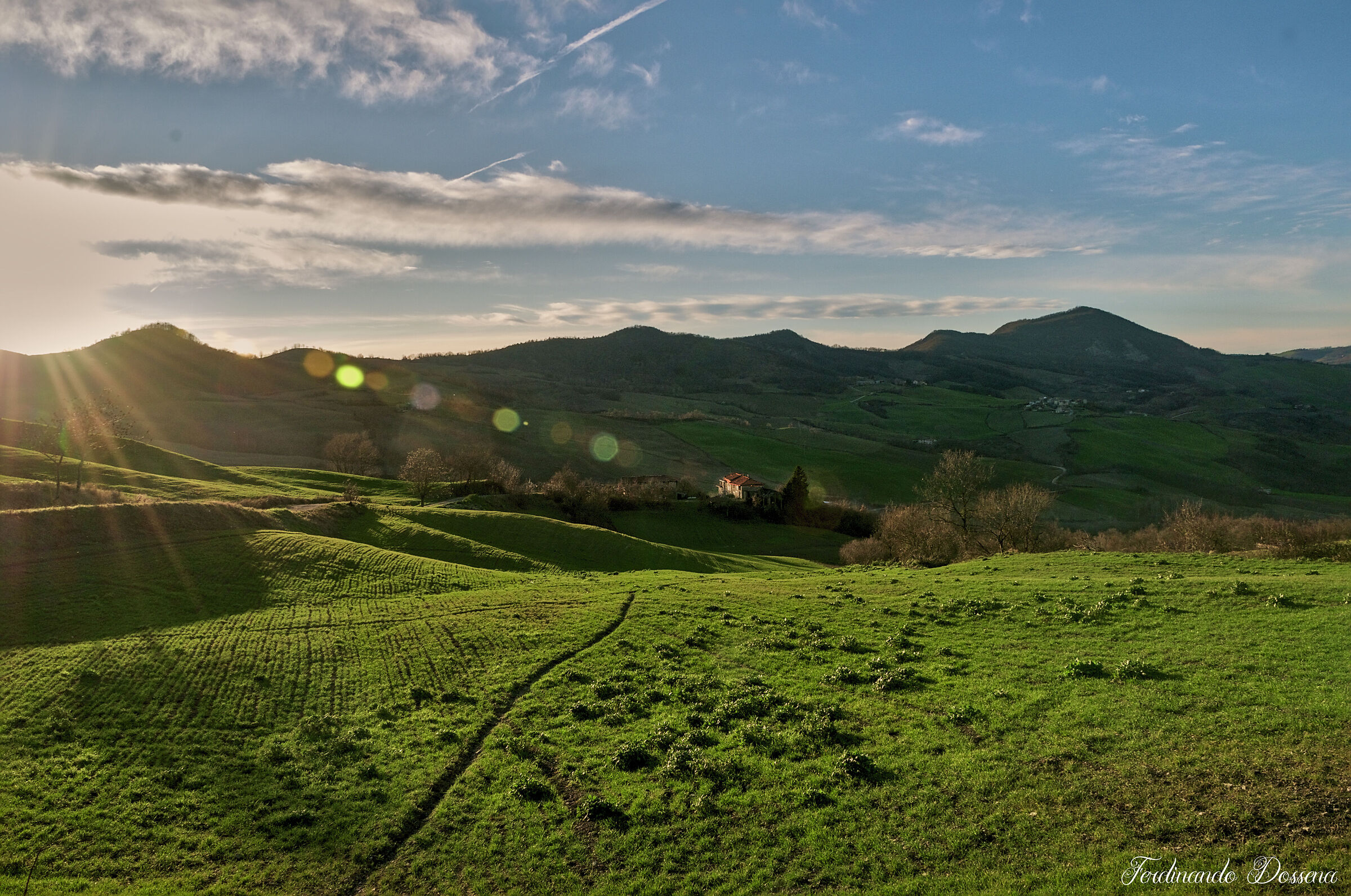 Collina Piacentina