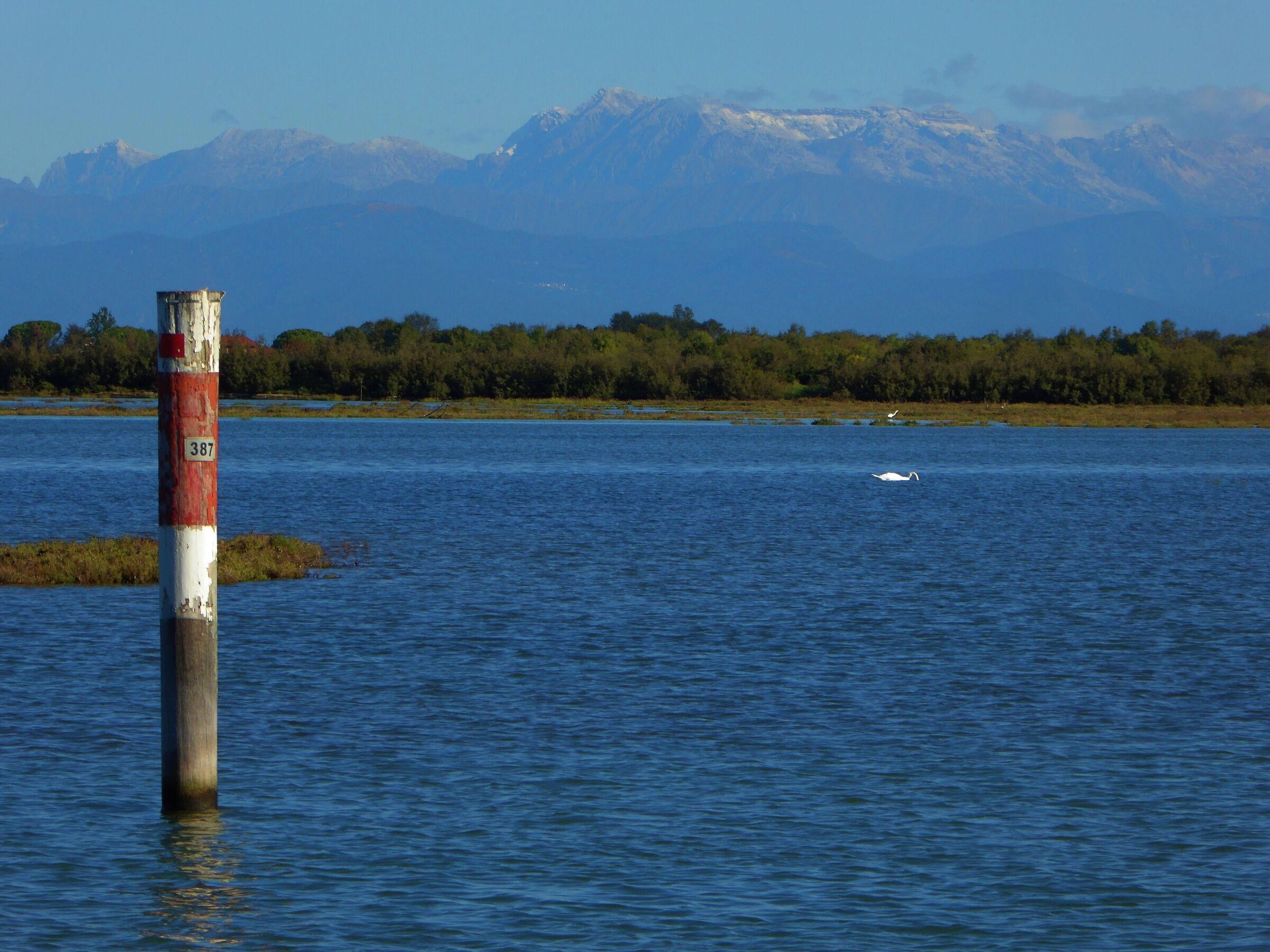 Grado