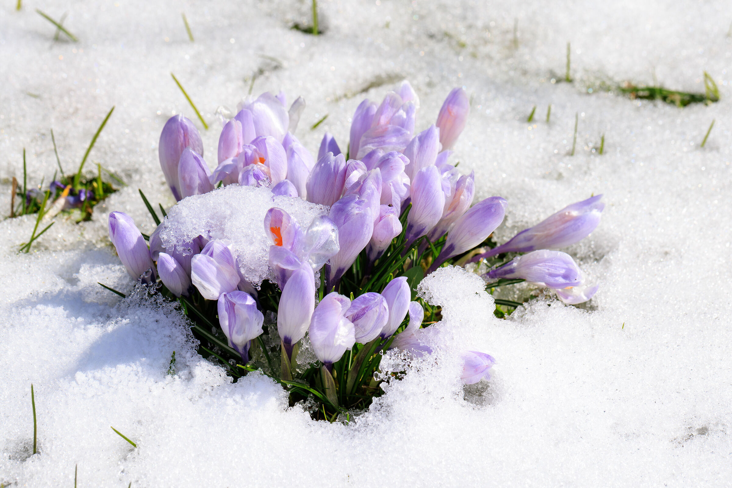 Oh no, winter caught us after all