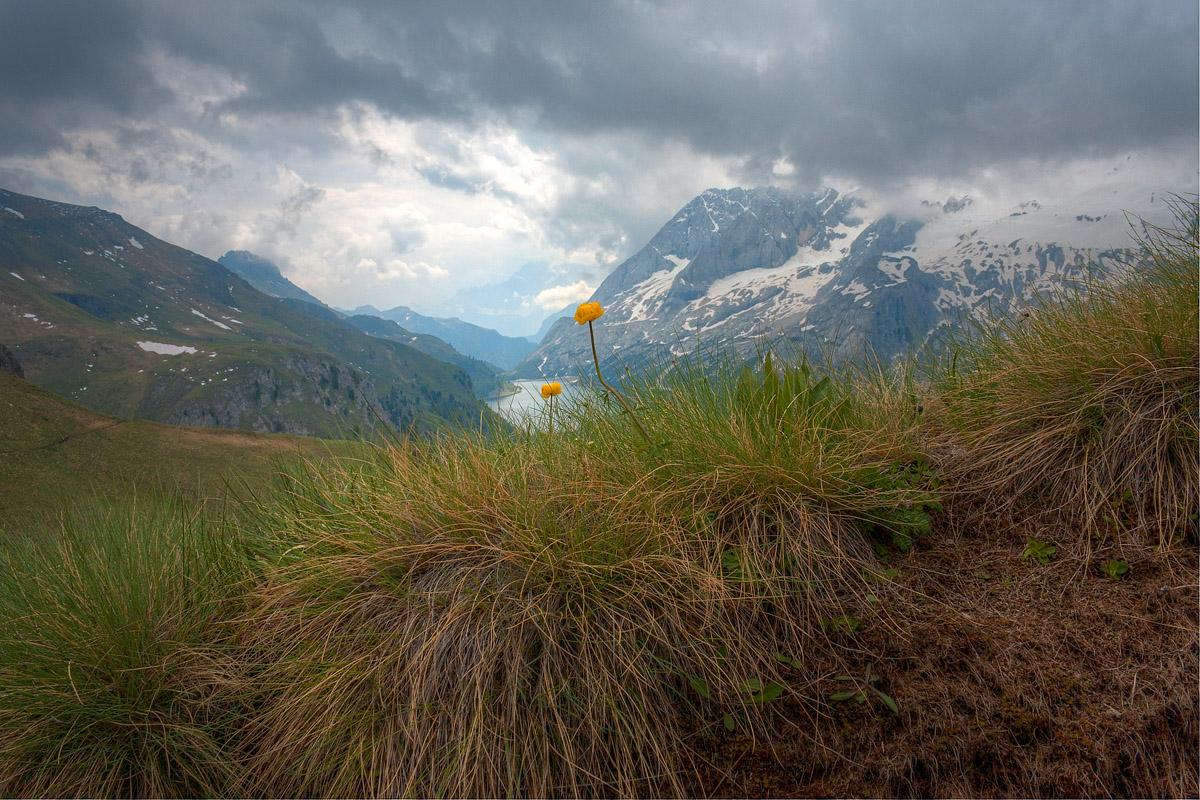 Passo Fedaia.Dettaglio.
