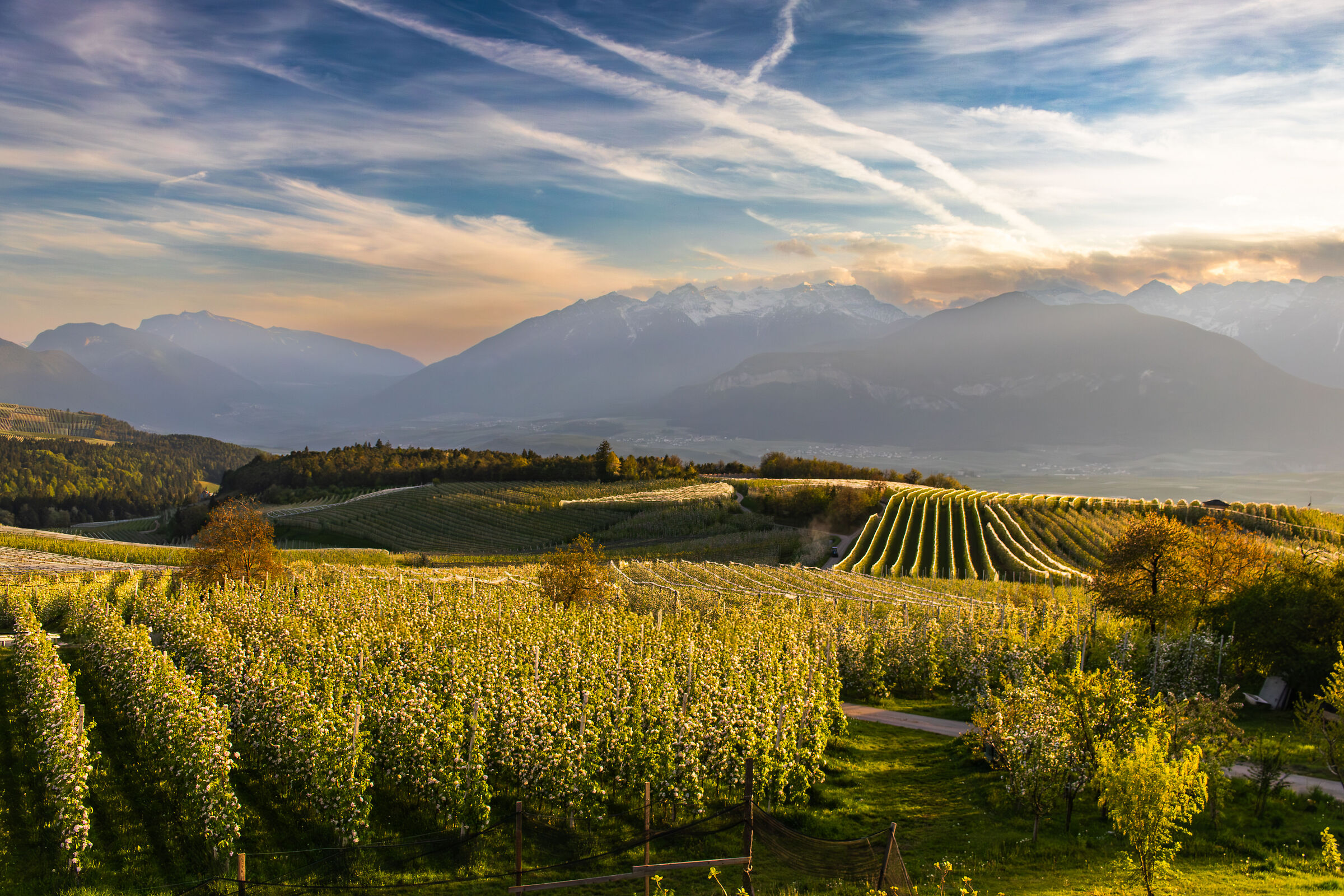 Val di Non in bloom