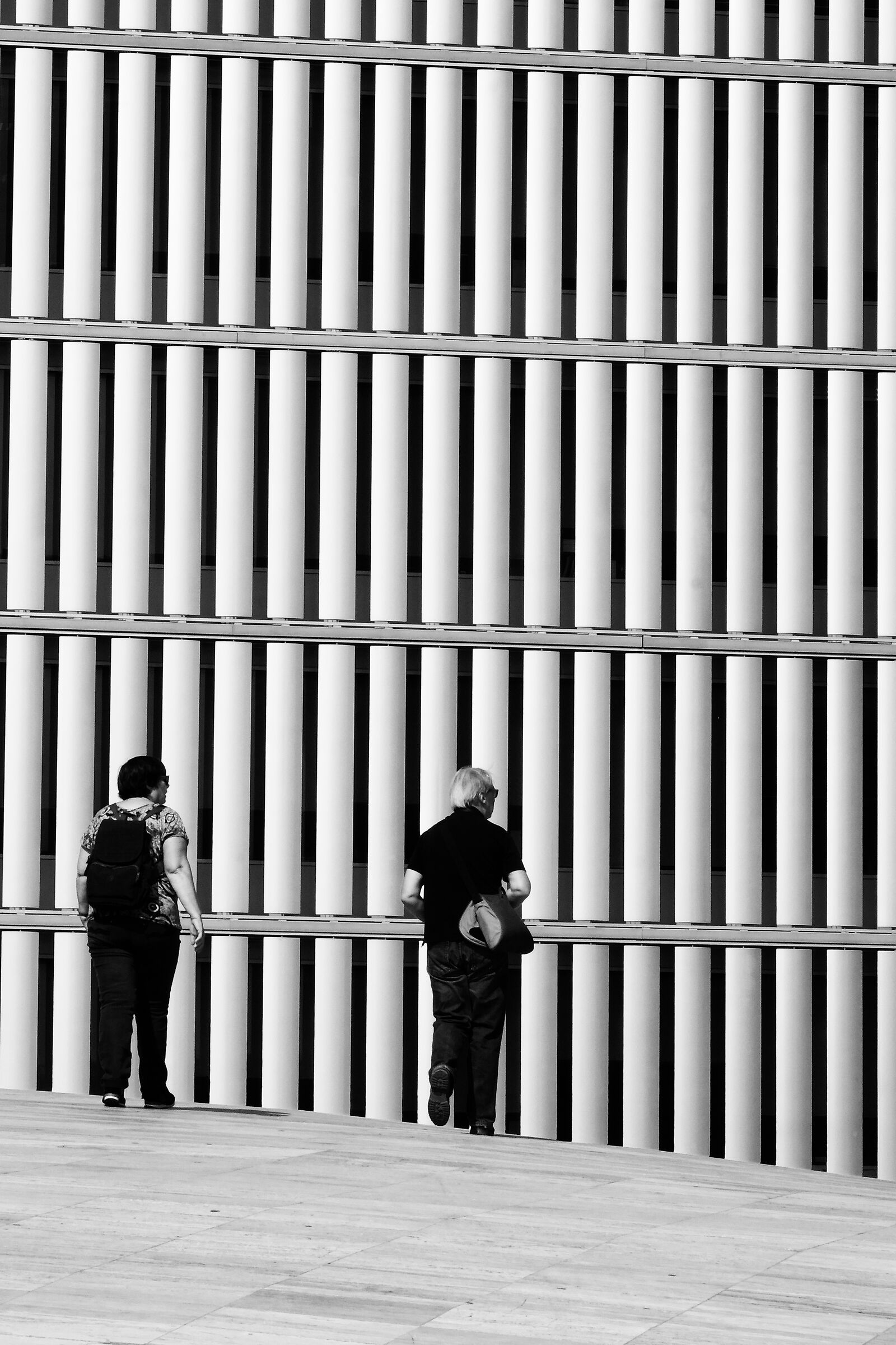 City of Music Porto