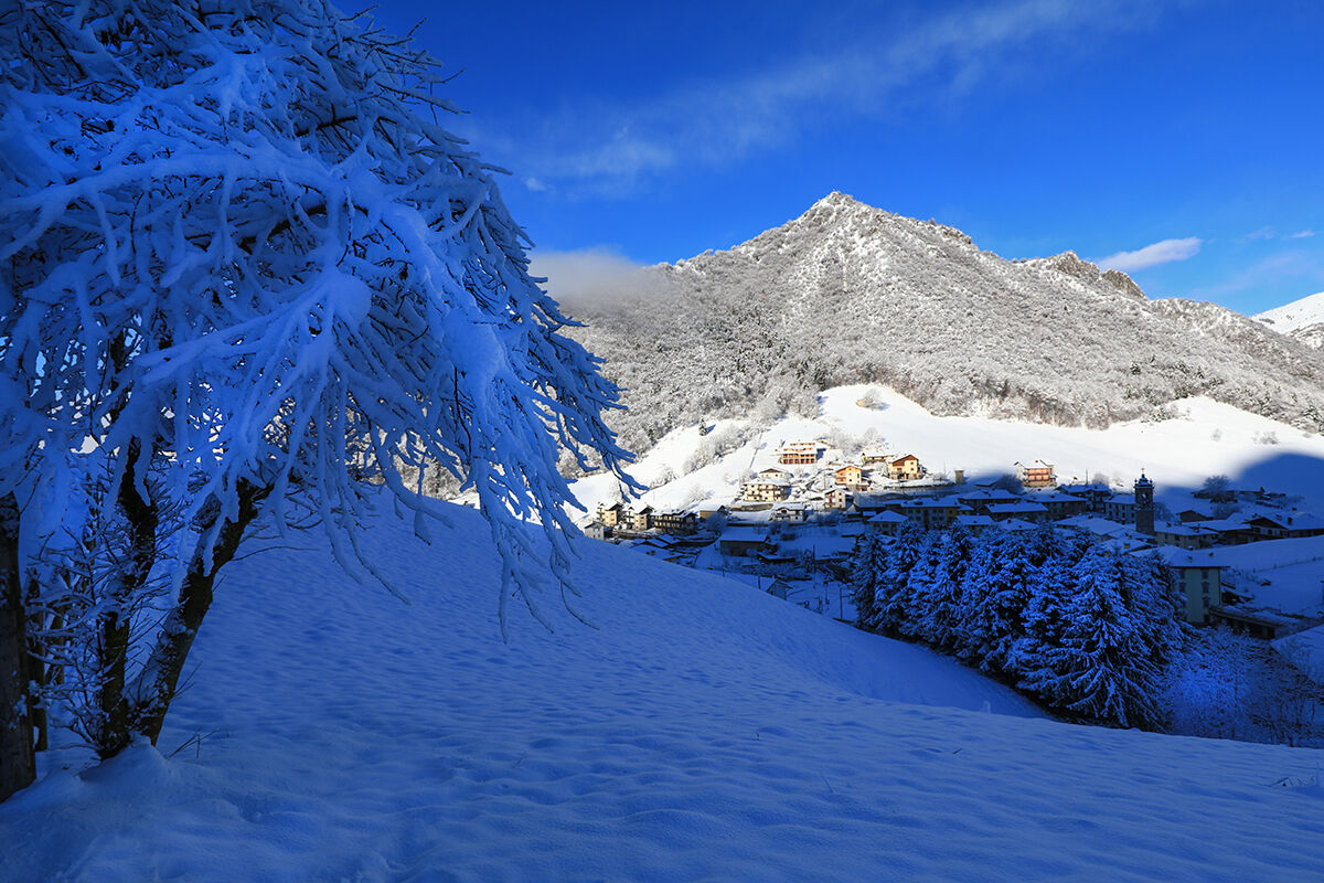 Winter in the mountains