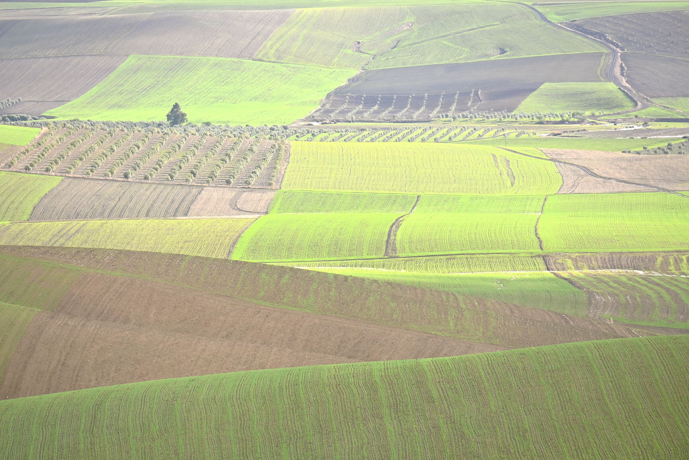 Morocco is also this