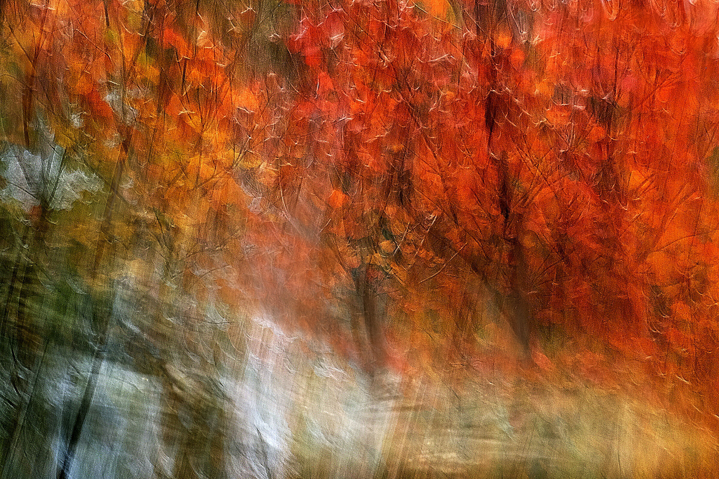 Autumn Colors