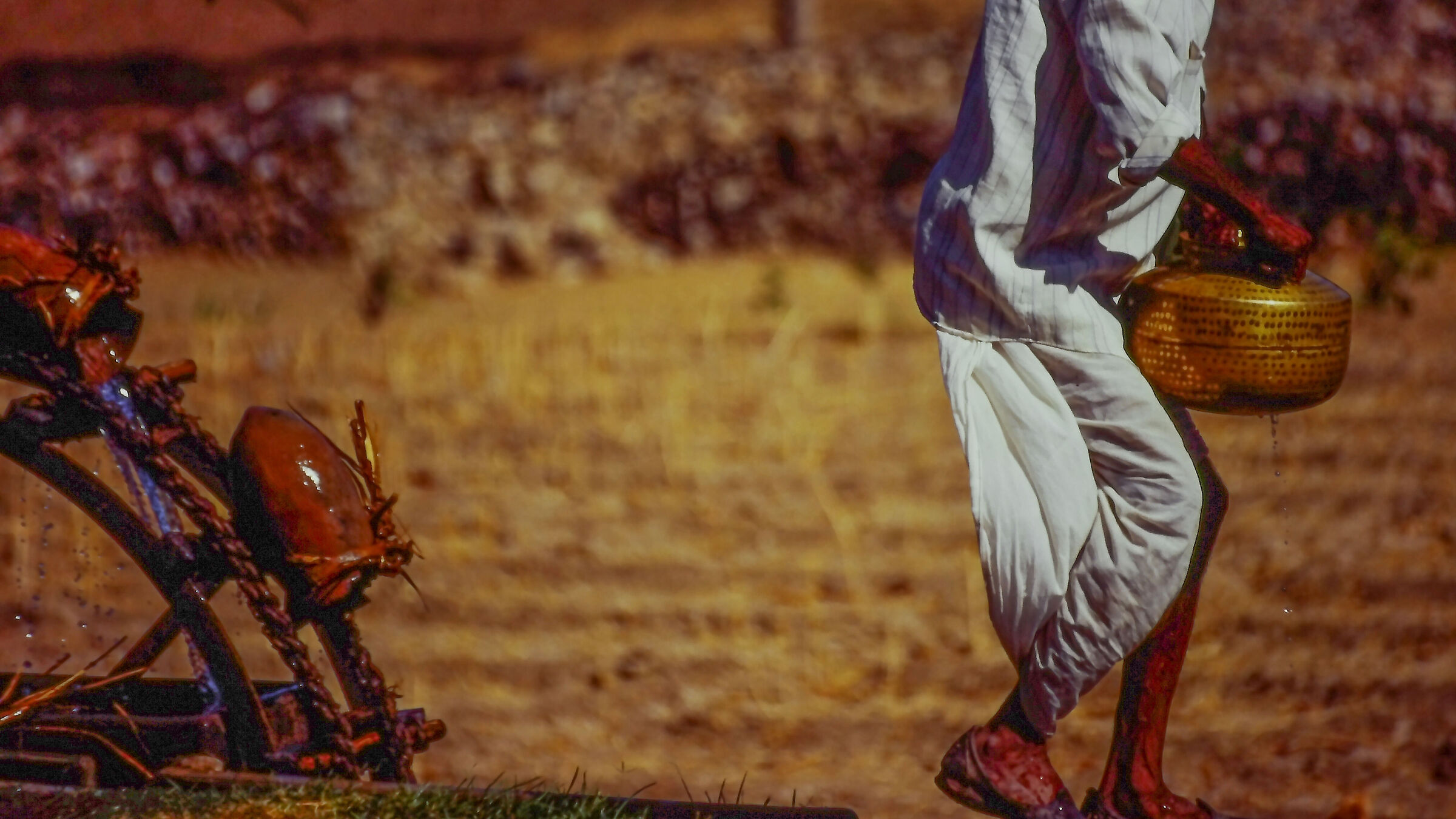 Life in rural areas