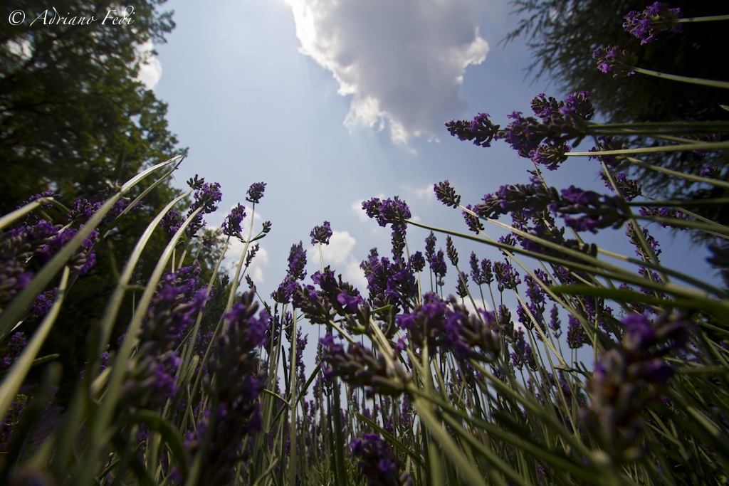 change of perspective