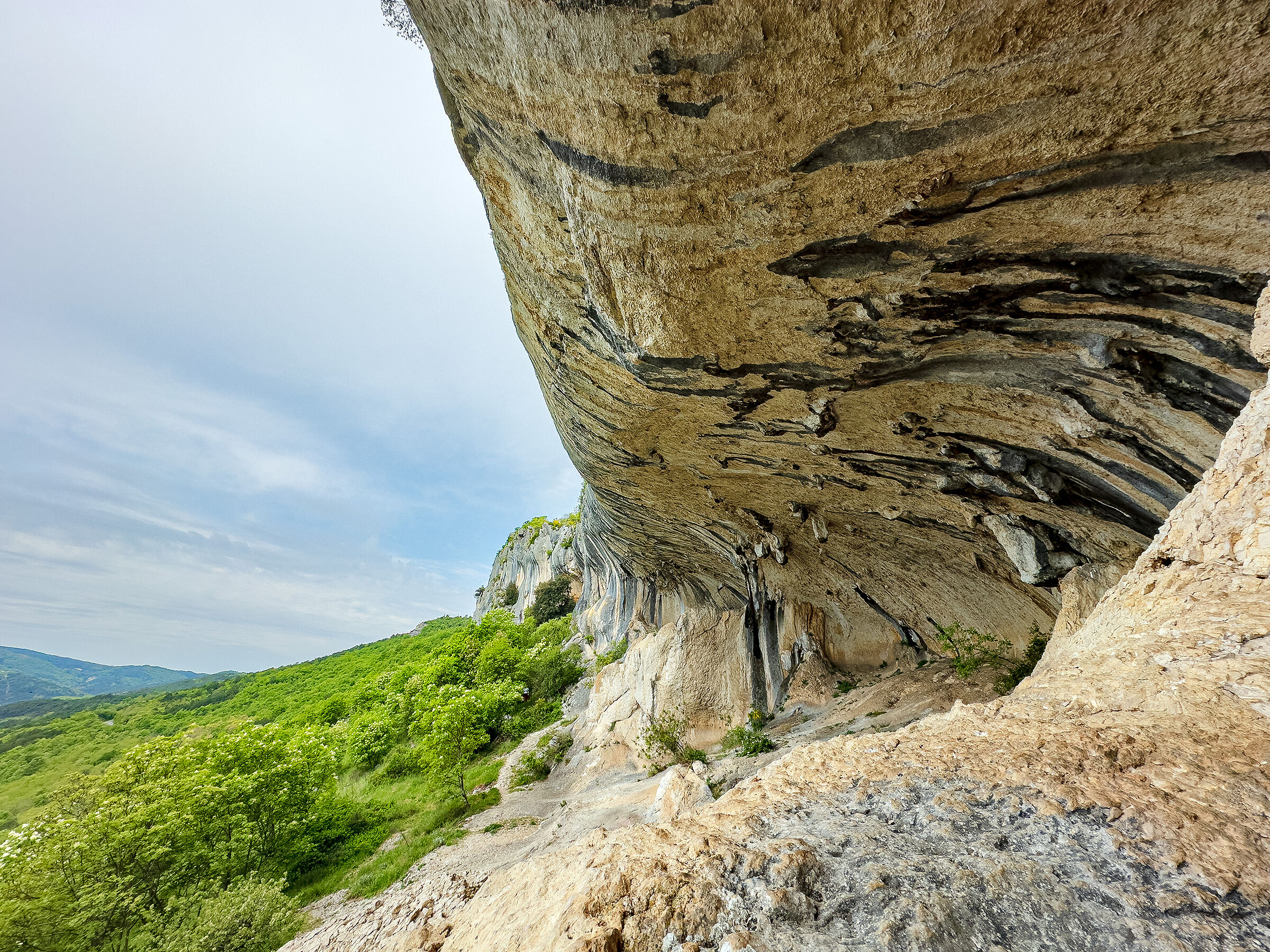 Le "orecchie d'Istria" 2