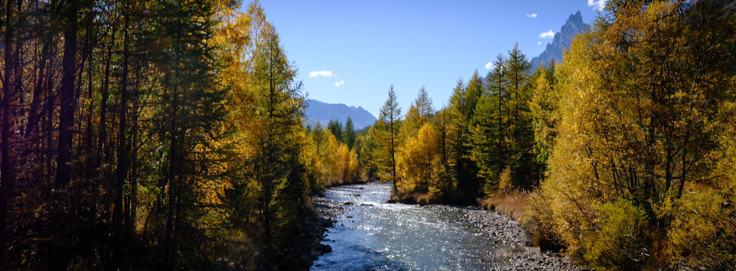 Untitled Photo