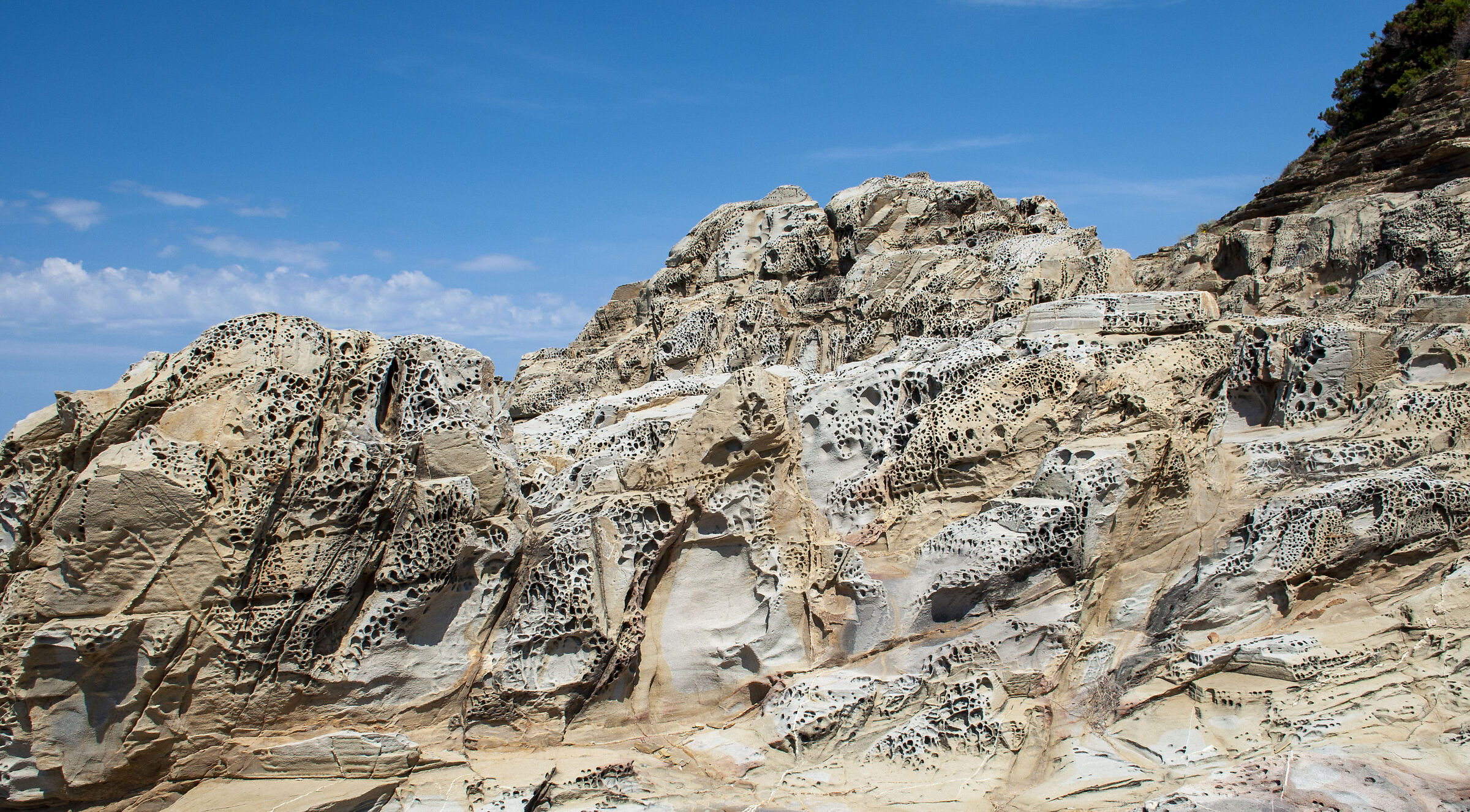 Rocky purosity