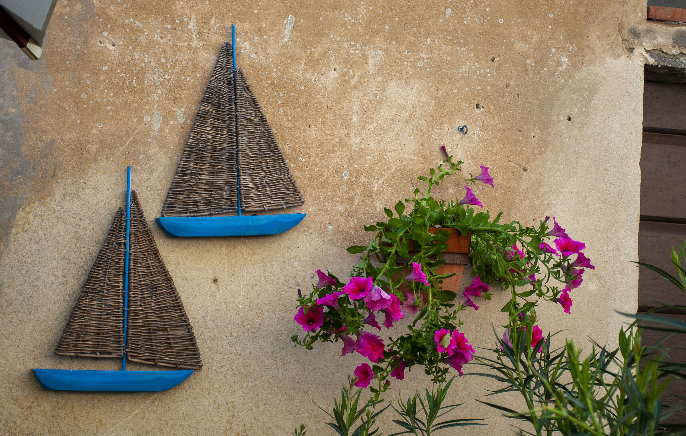 Populonia