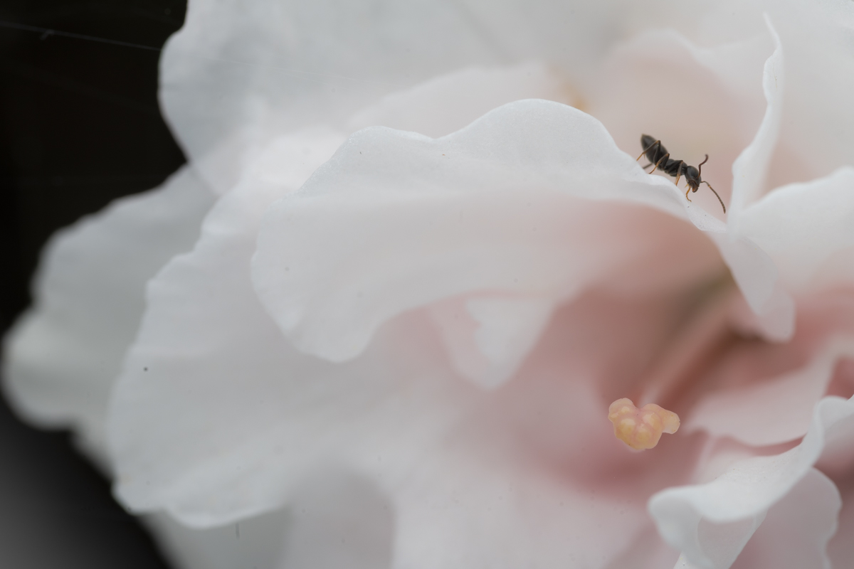 Untitled Photo