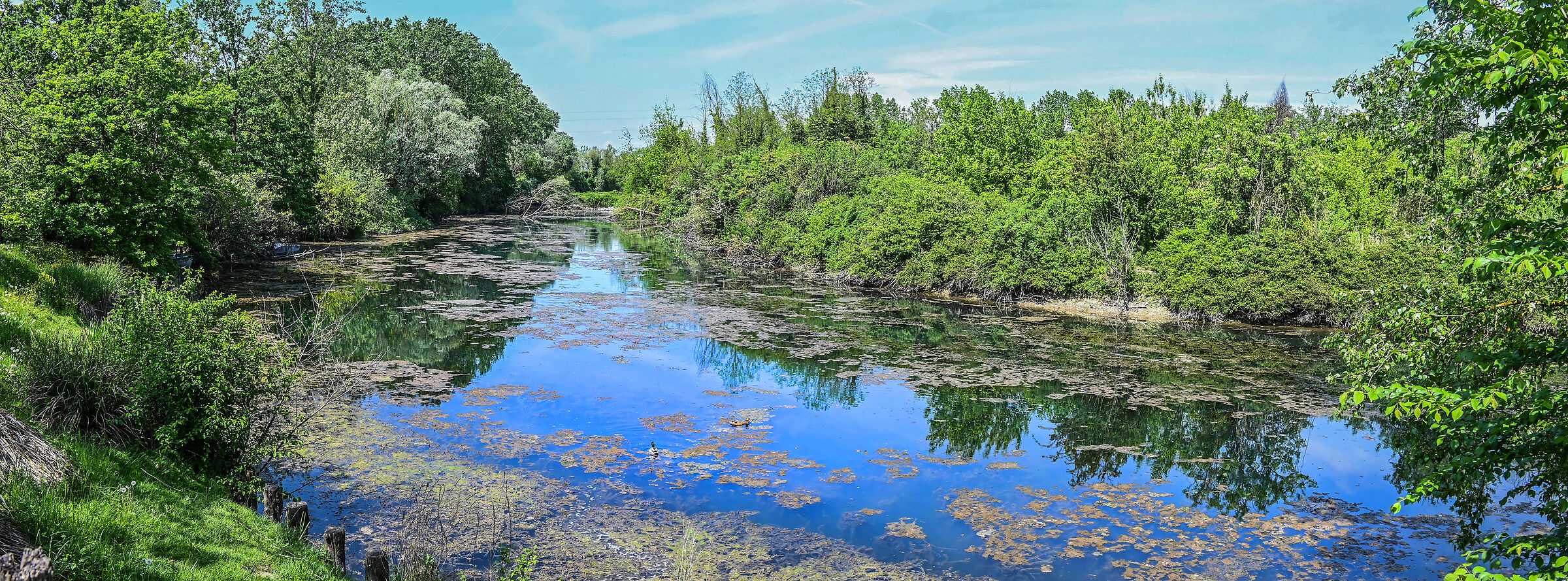 The Sile near Casier