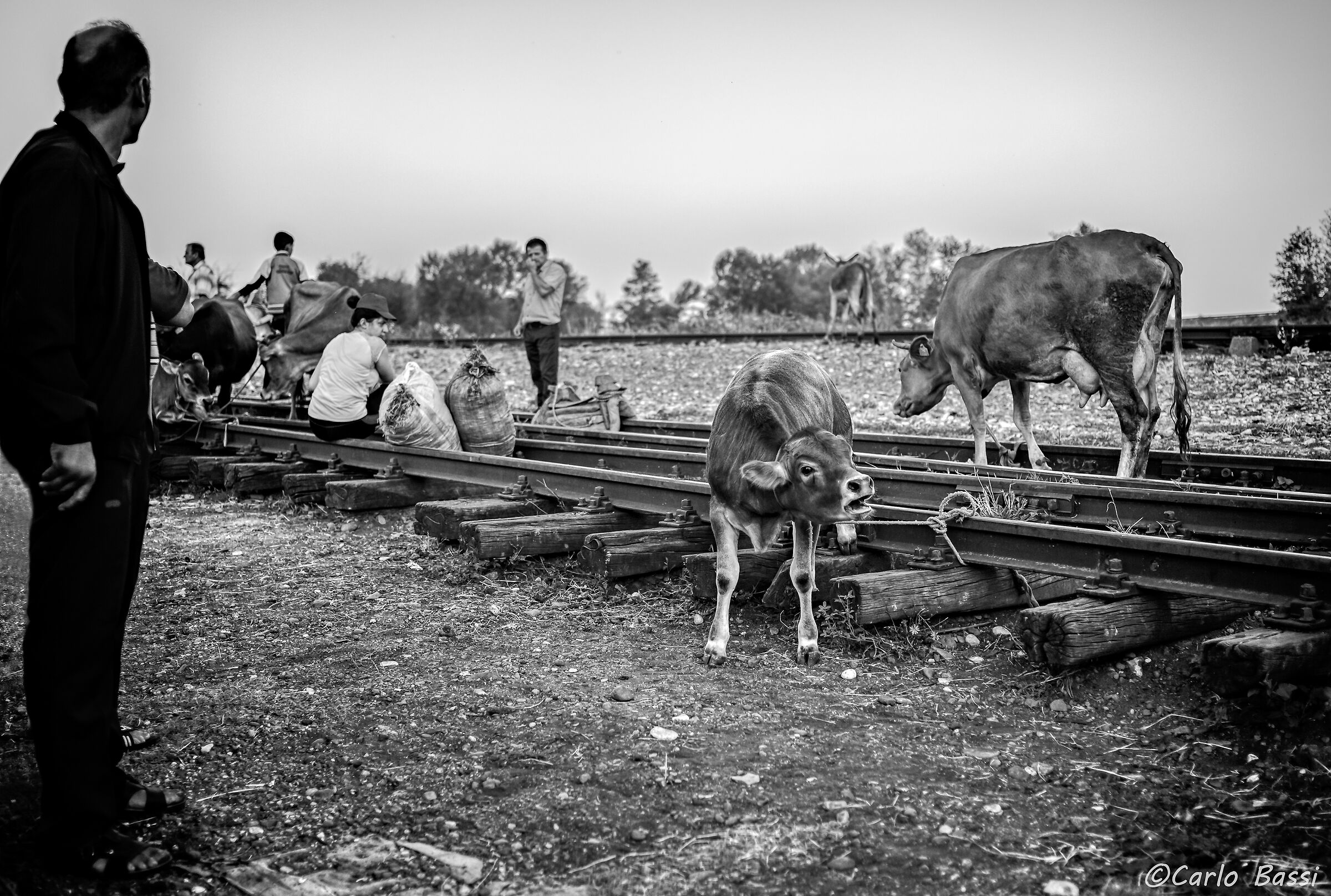 Aspettando il treno, la fermata del mercato