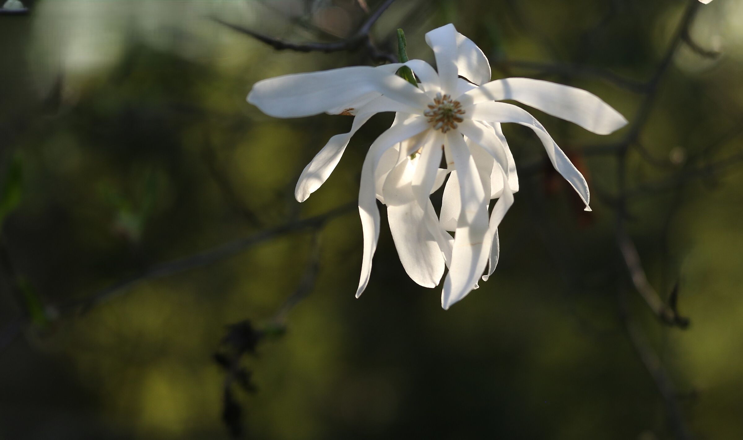 Untitled Photo