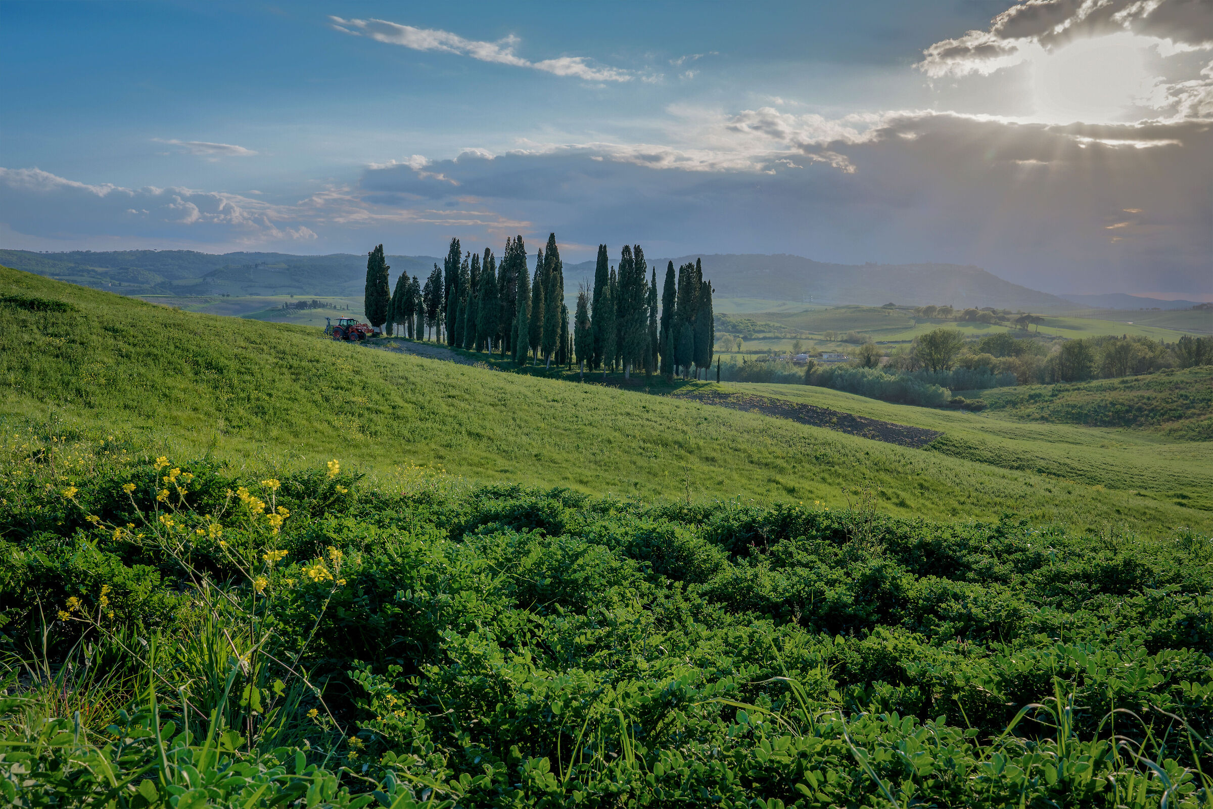 primavera in Val d'orcia