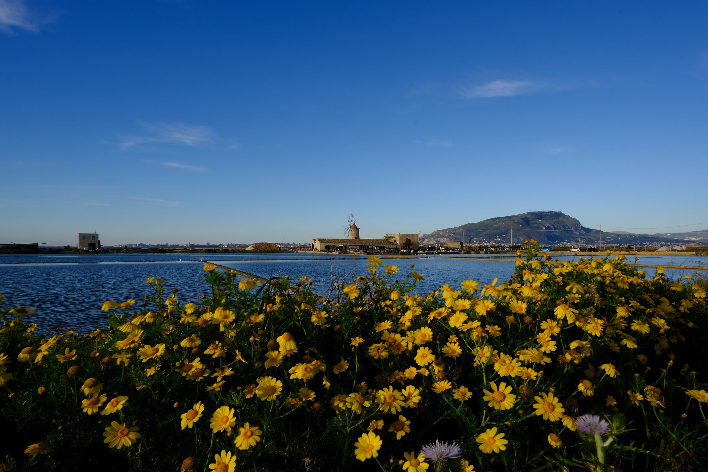 Trapani salt pans.