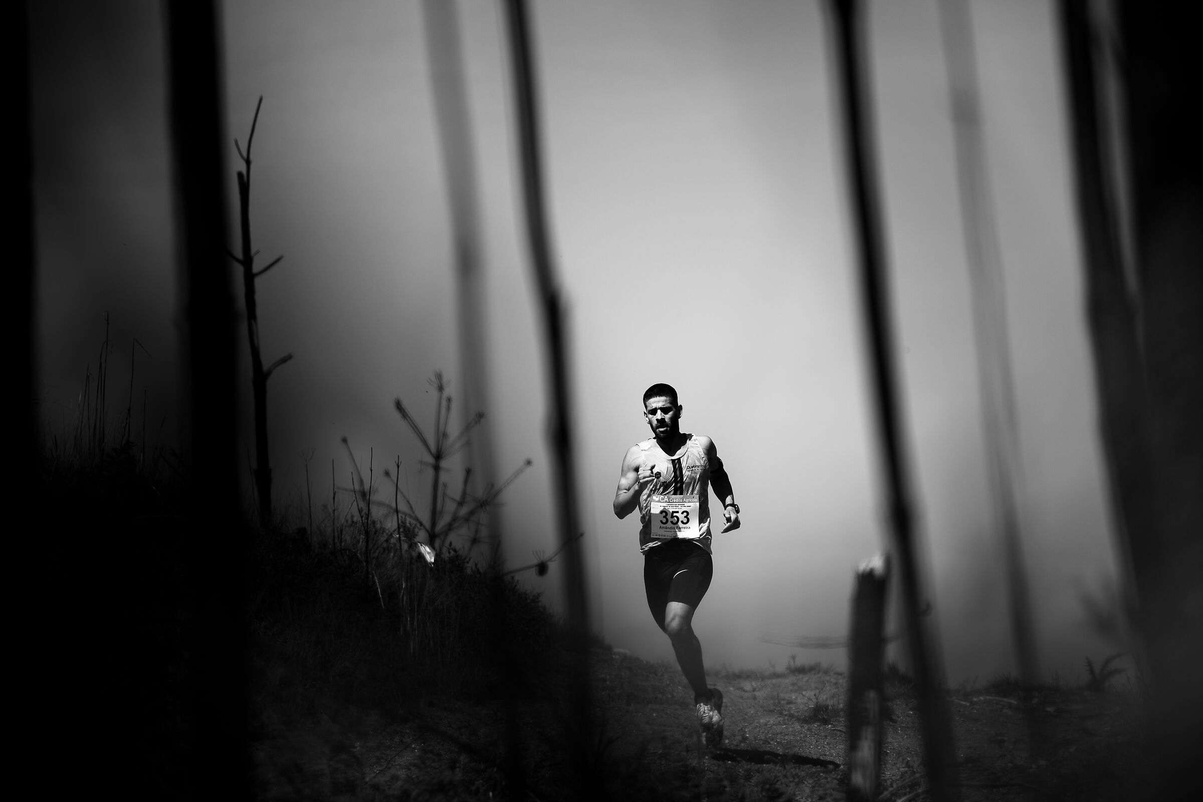 Run BW