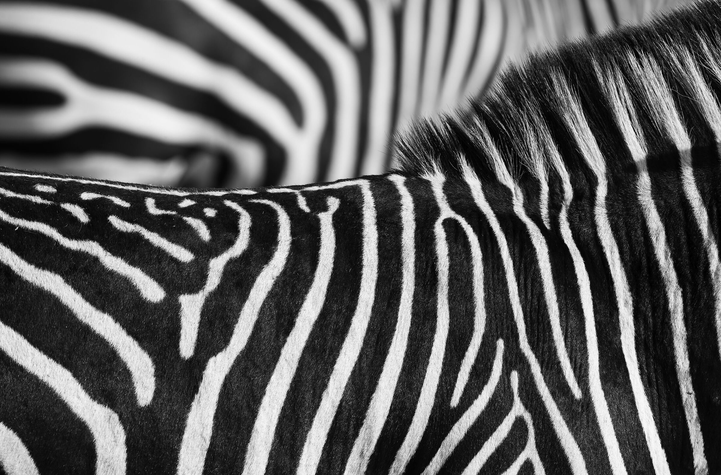 Texture...