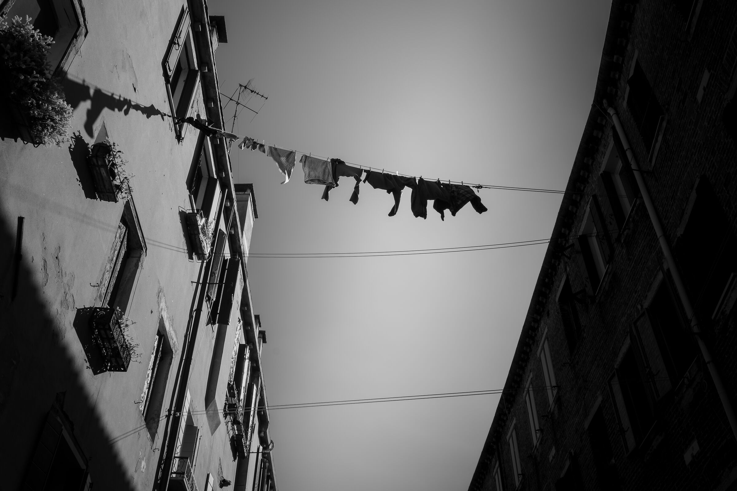 Drying rack