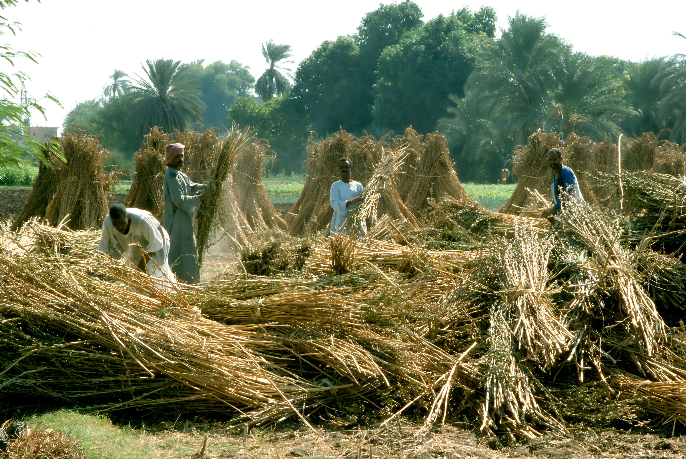 Nile Cruise 1999