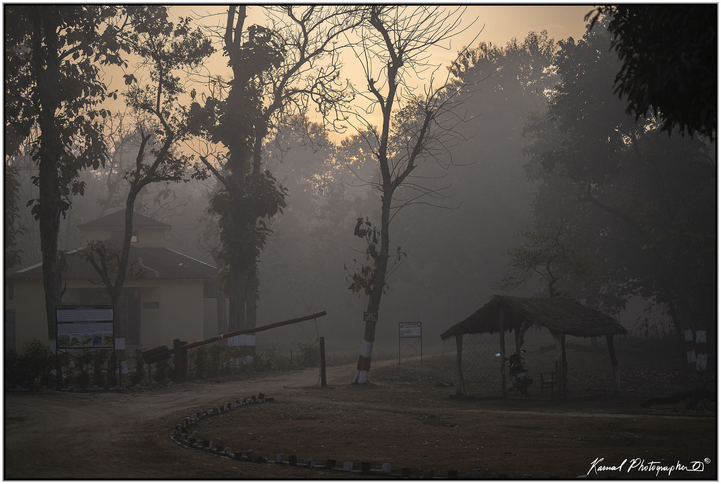 Untitled Photo