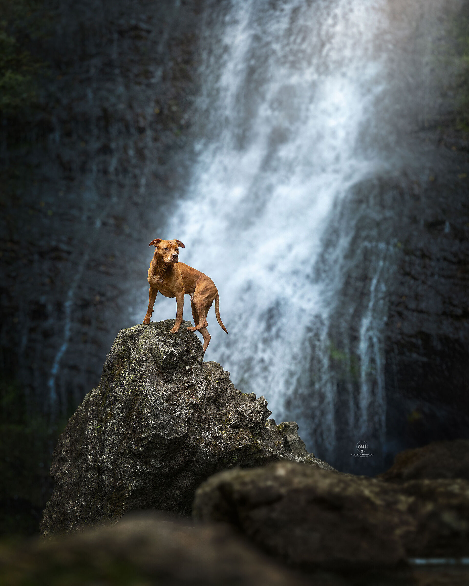 To the waterfalls