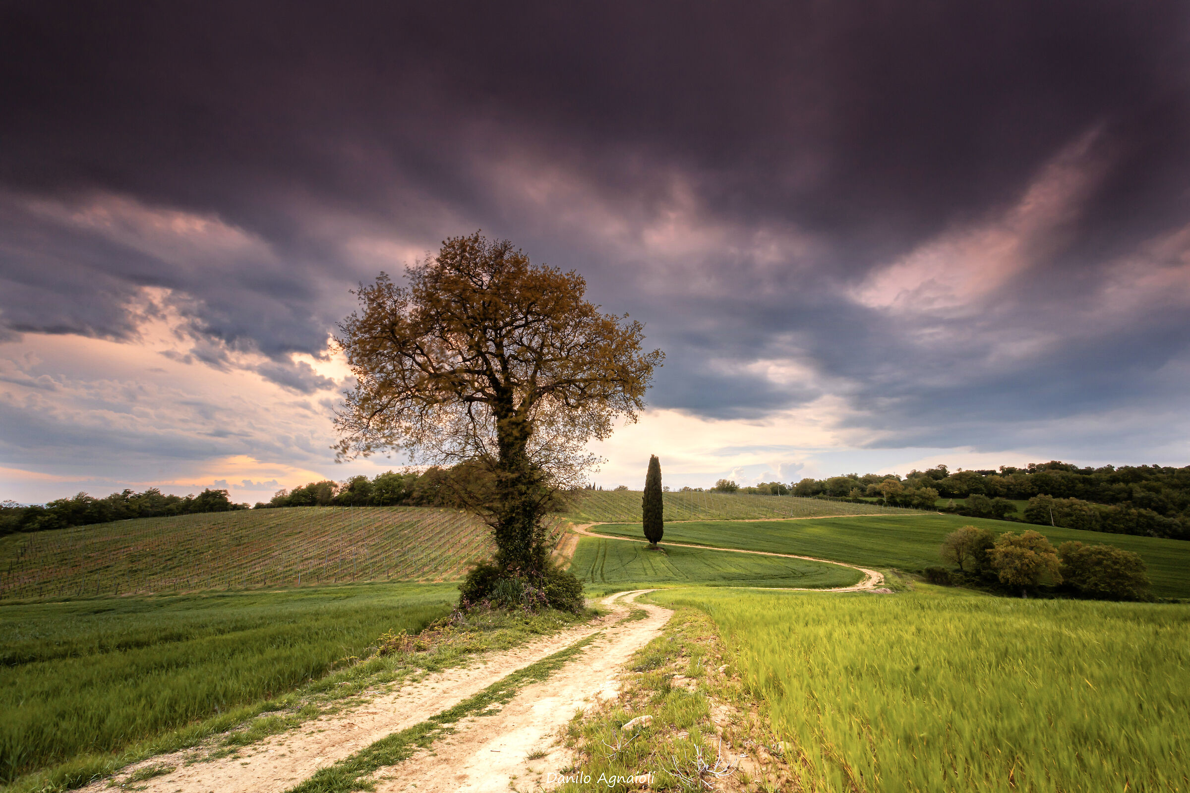 Perugino Hills