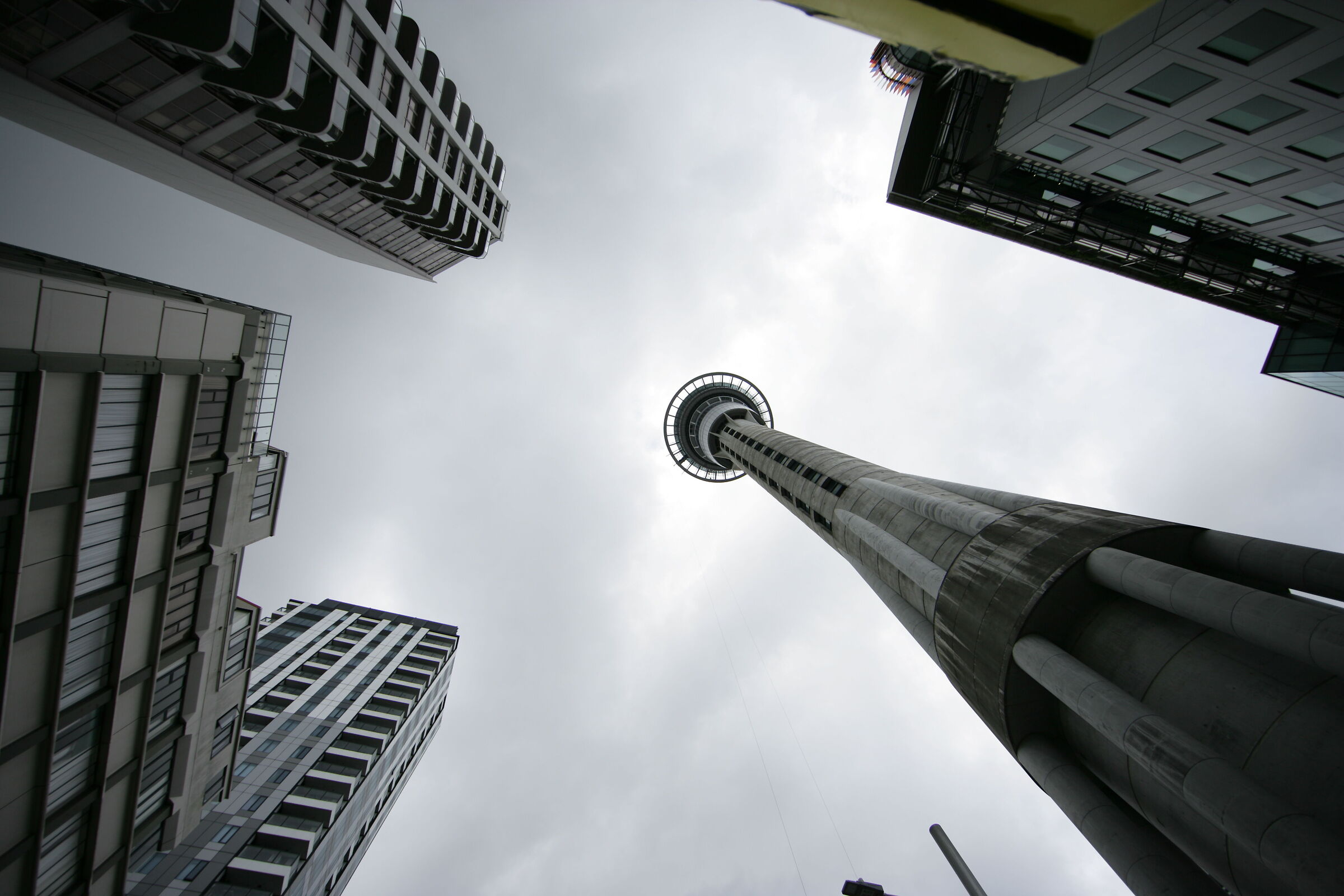 Auckland Sky Tower and buildings tops