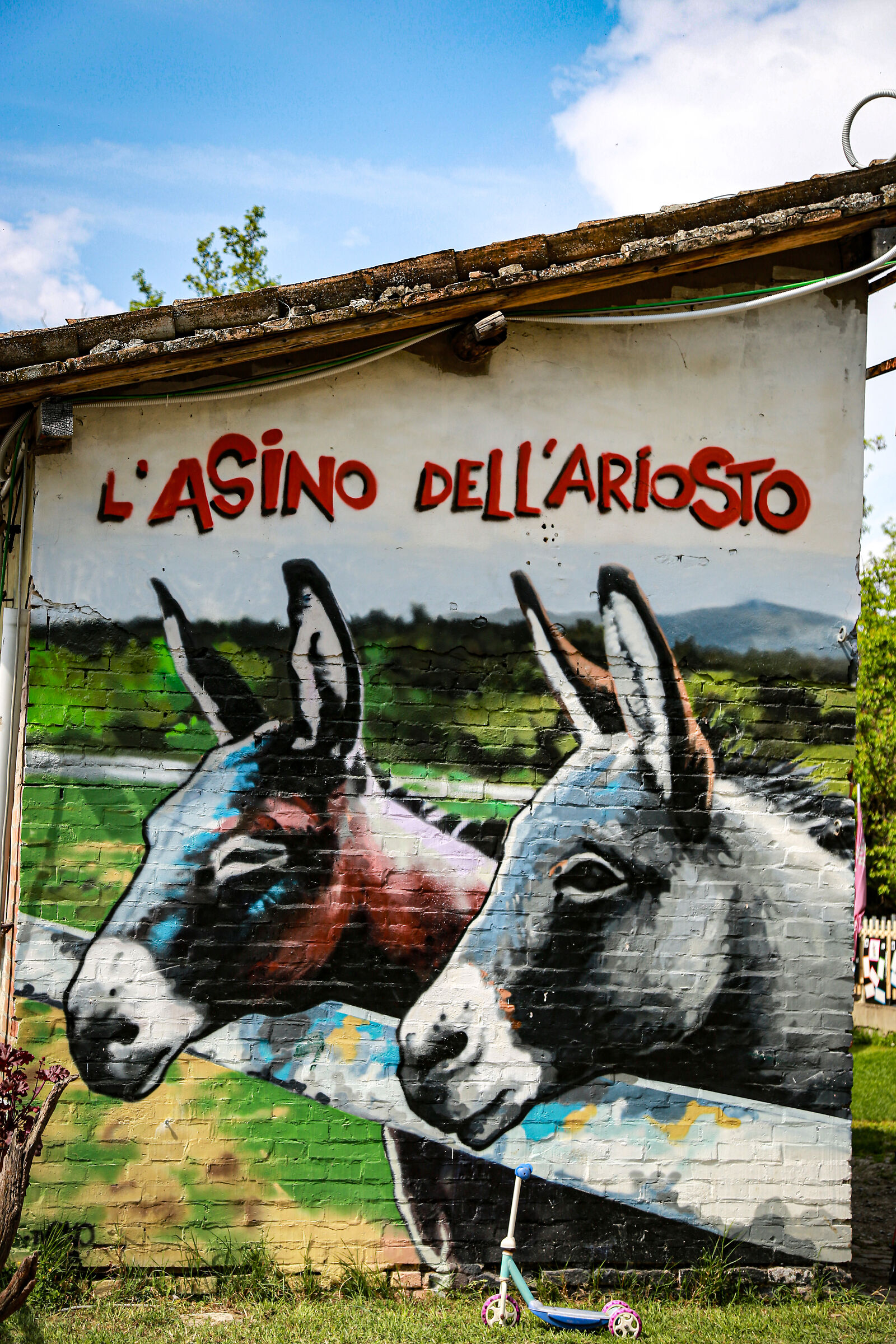 asino:)