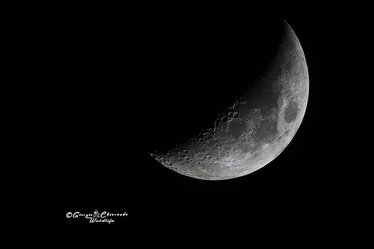 Luna questa sera.