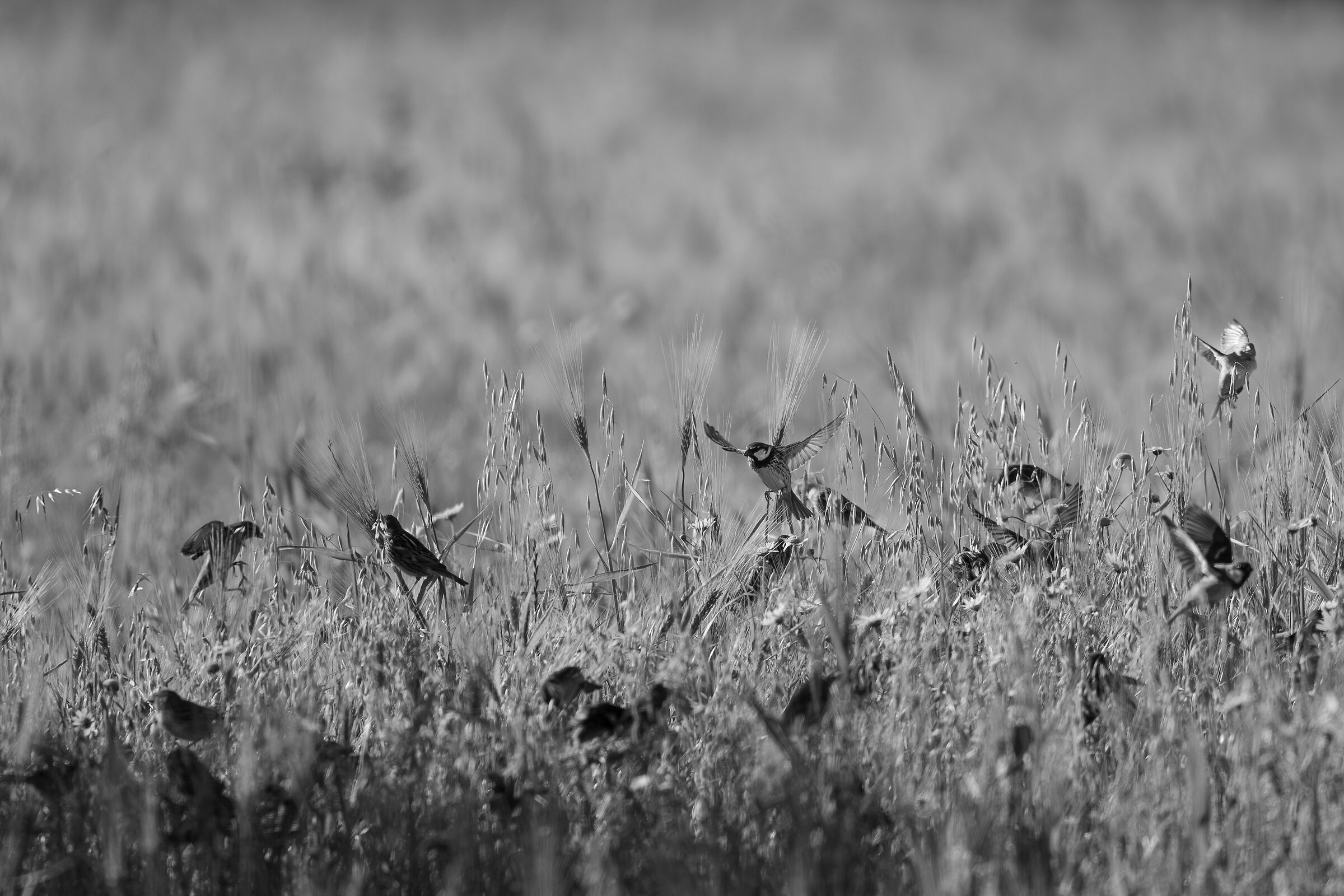 Low altitude