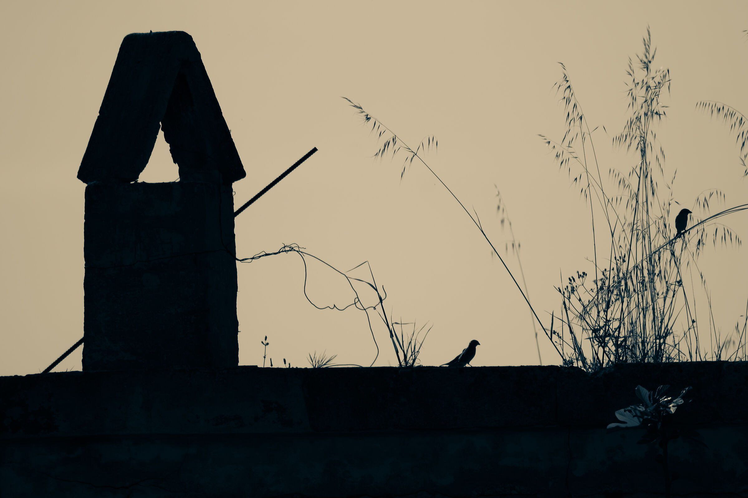 Chimneys